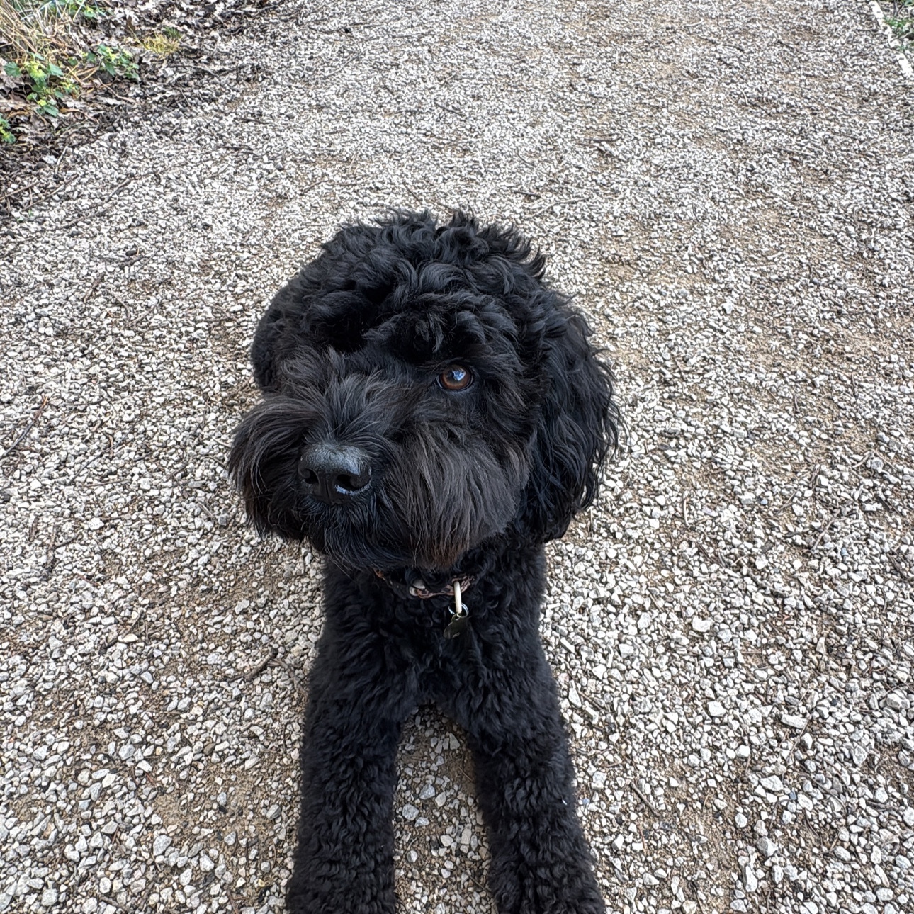 Coco 