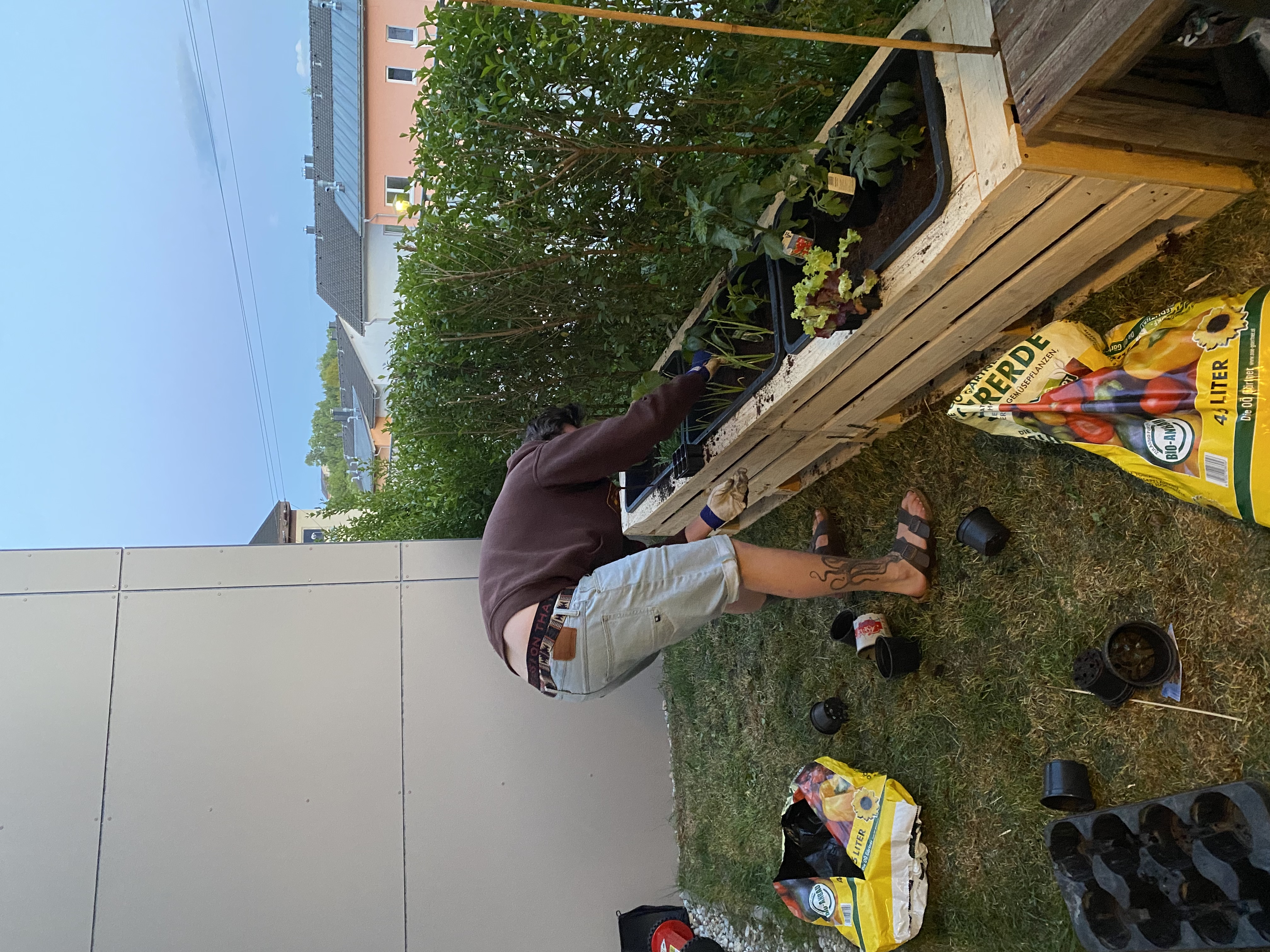 image-18