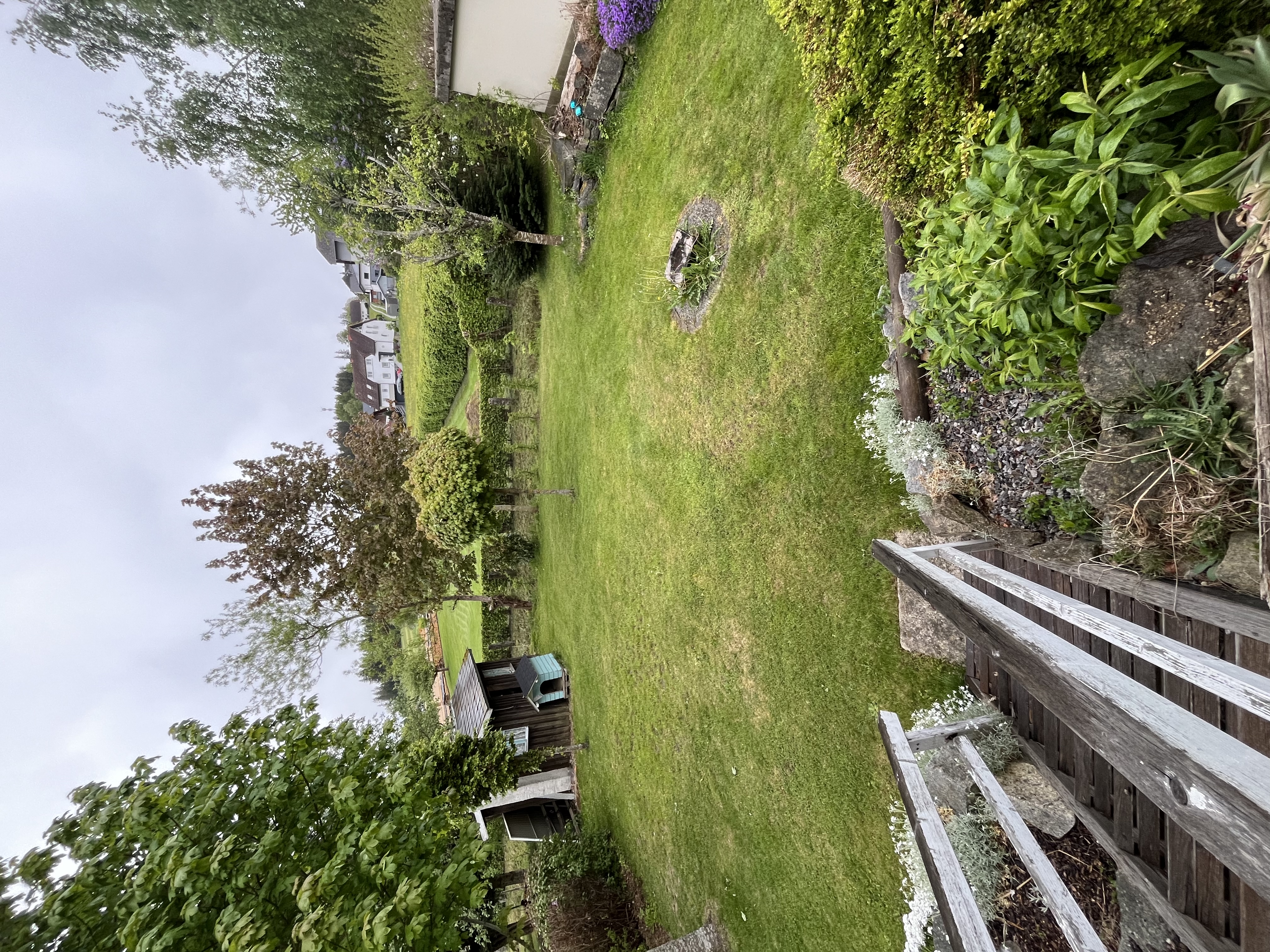 image-17