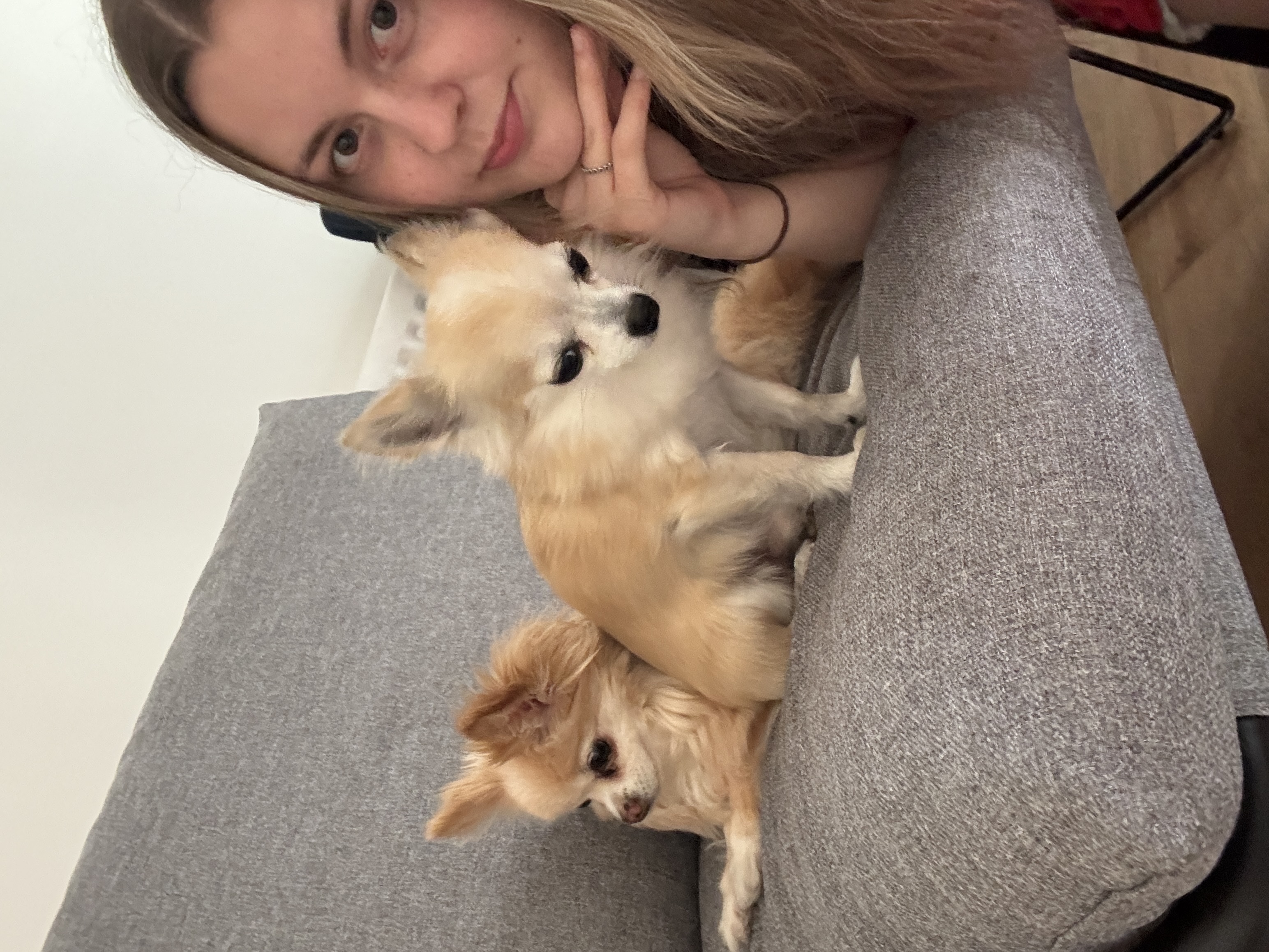 image-8