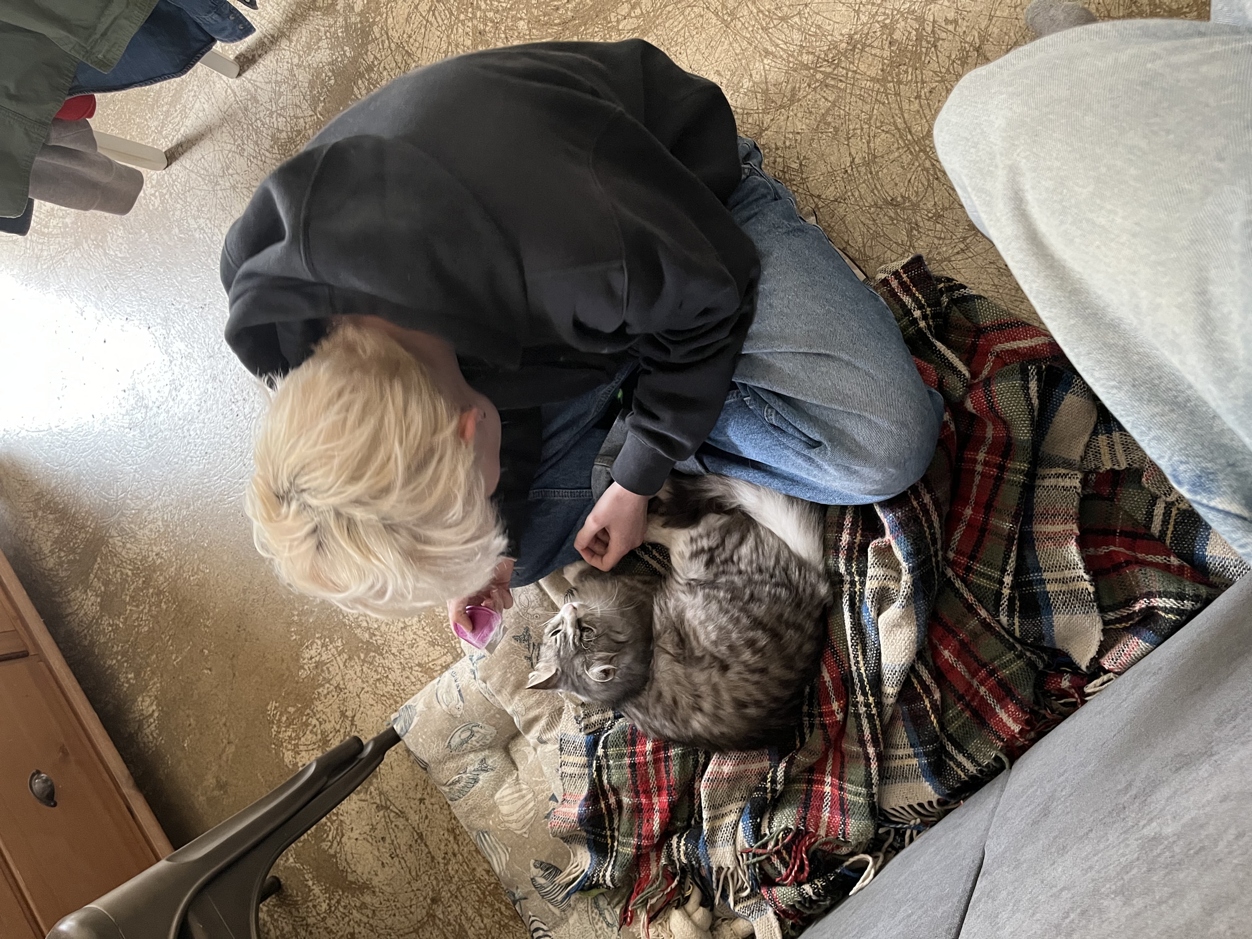 image-8