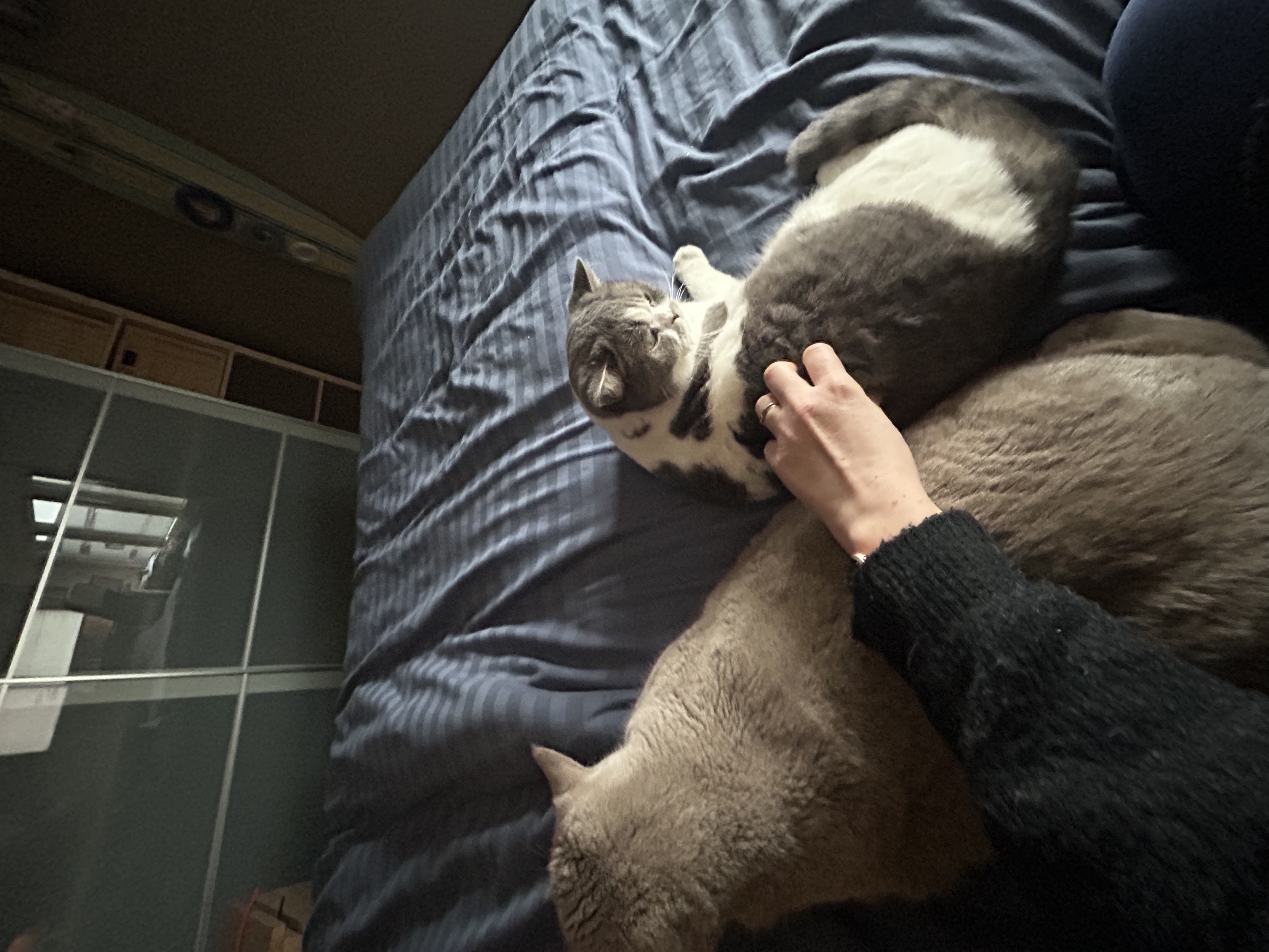 image-5