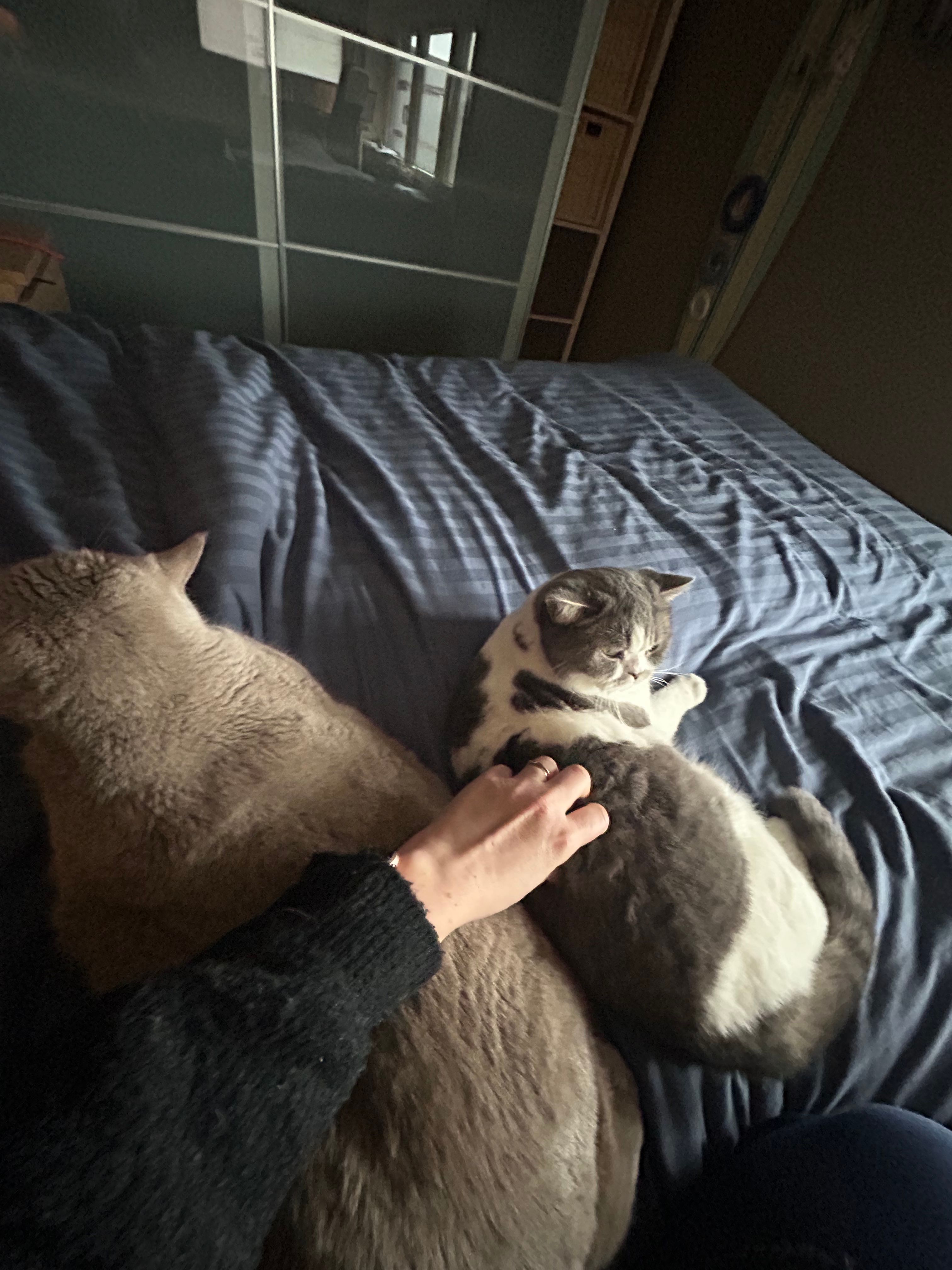 image-5