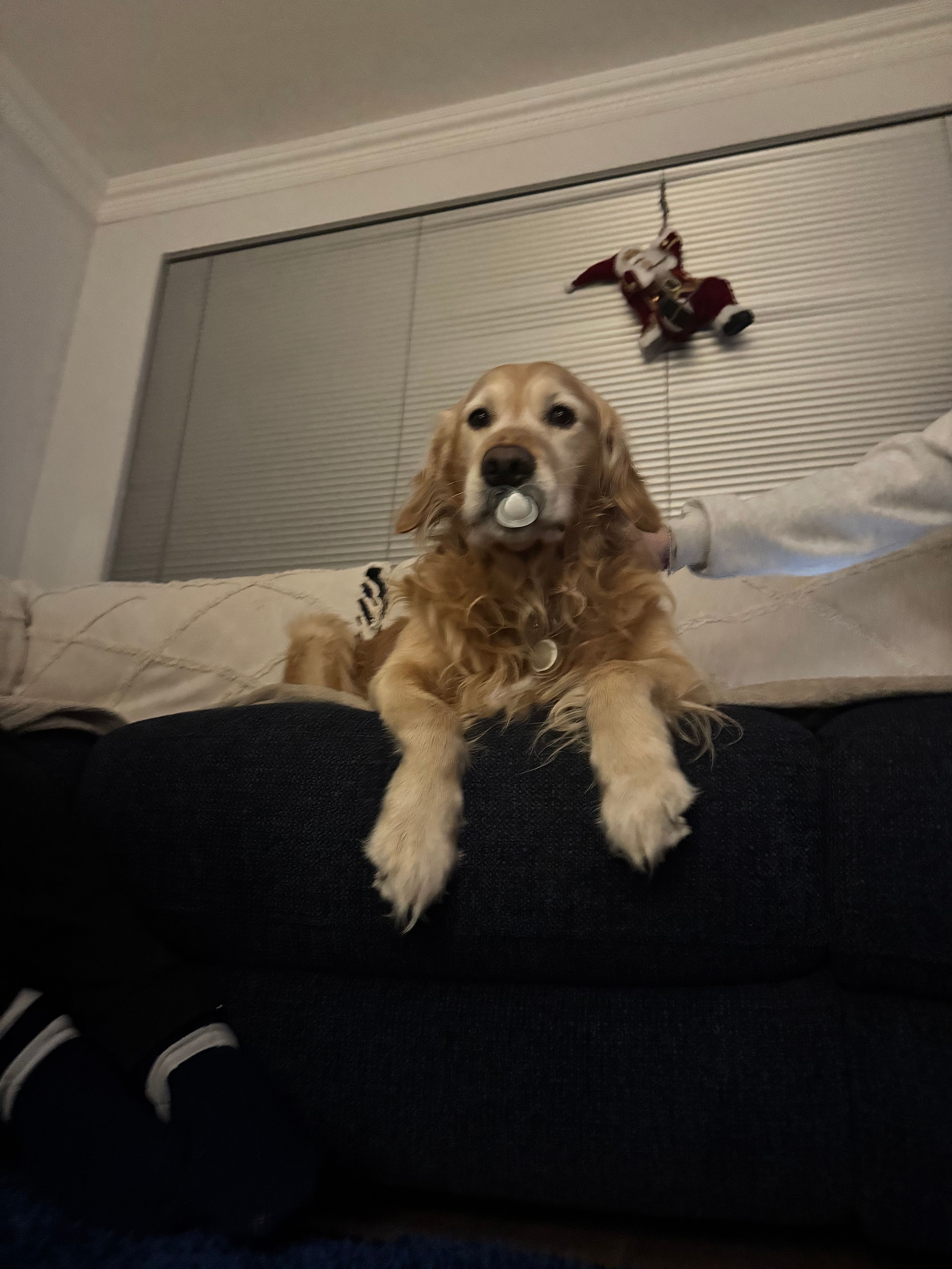 image-16