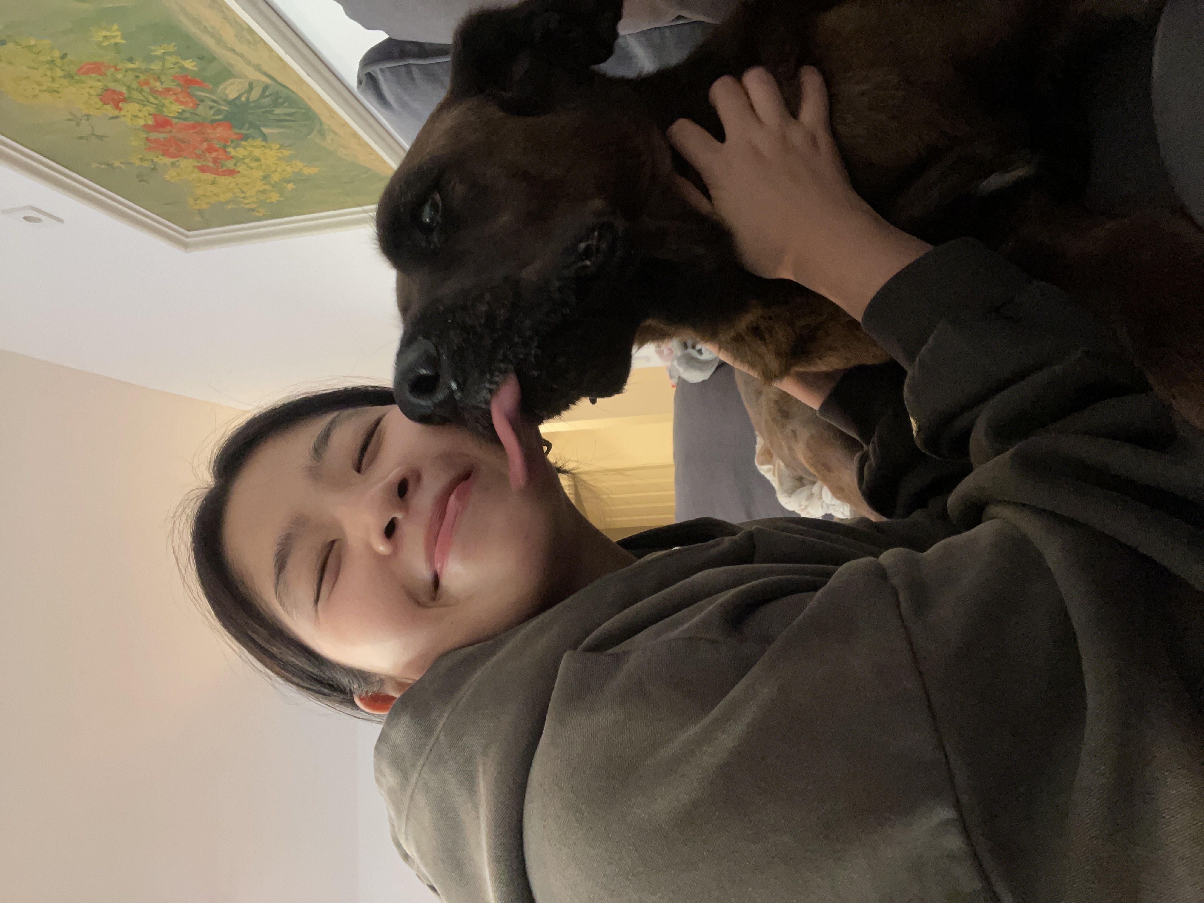 image-6