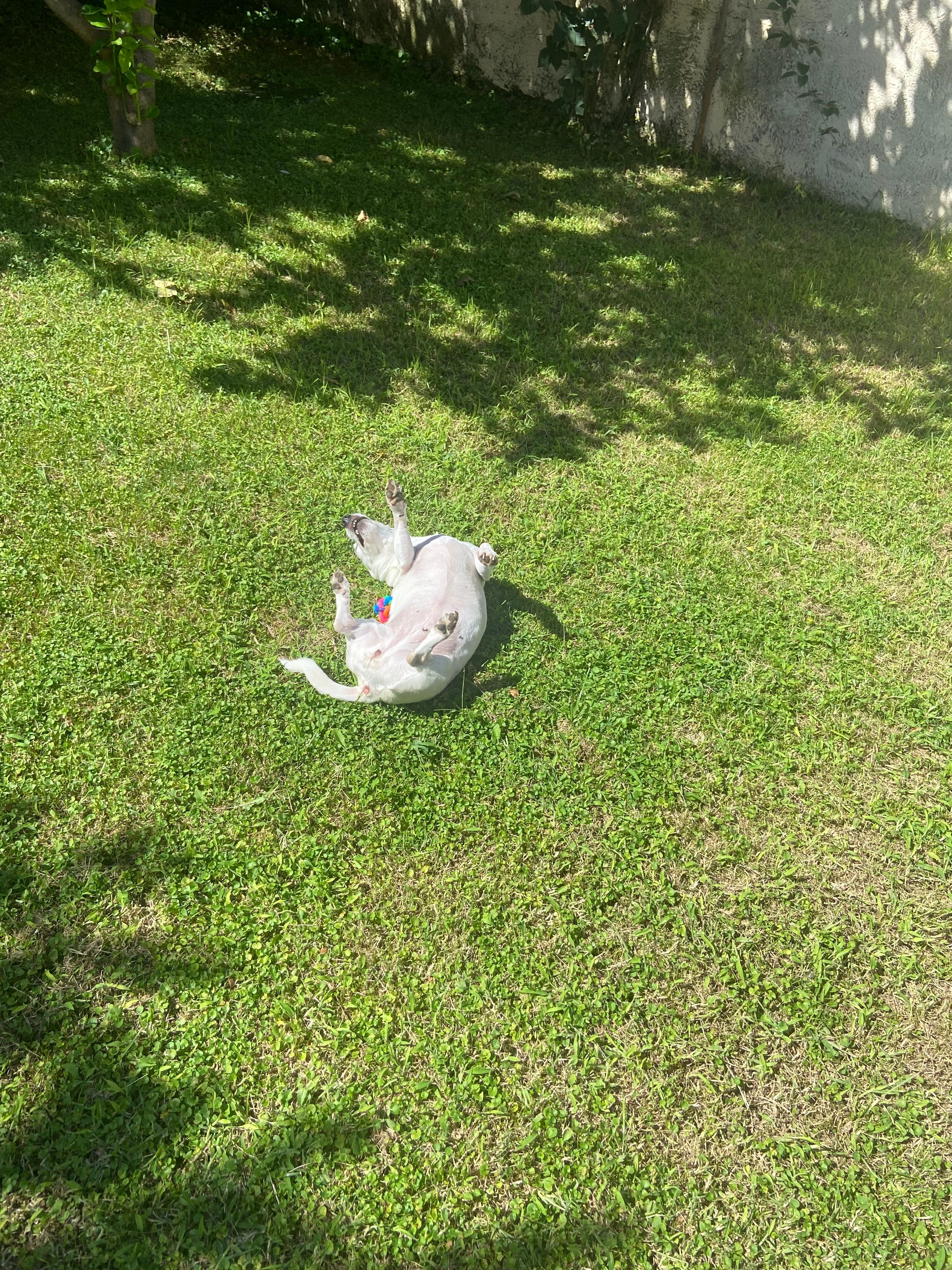 image-9