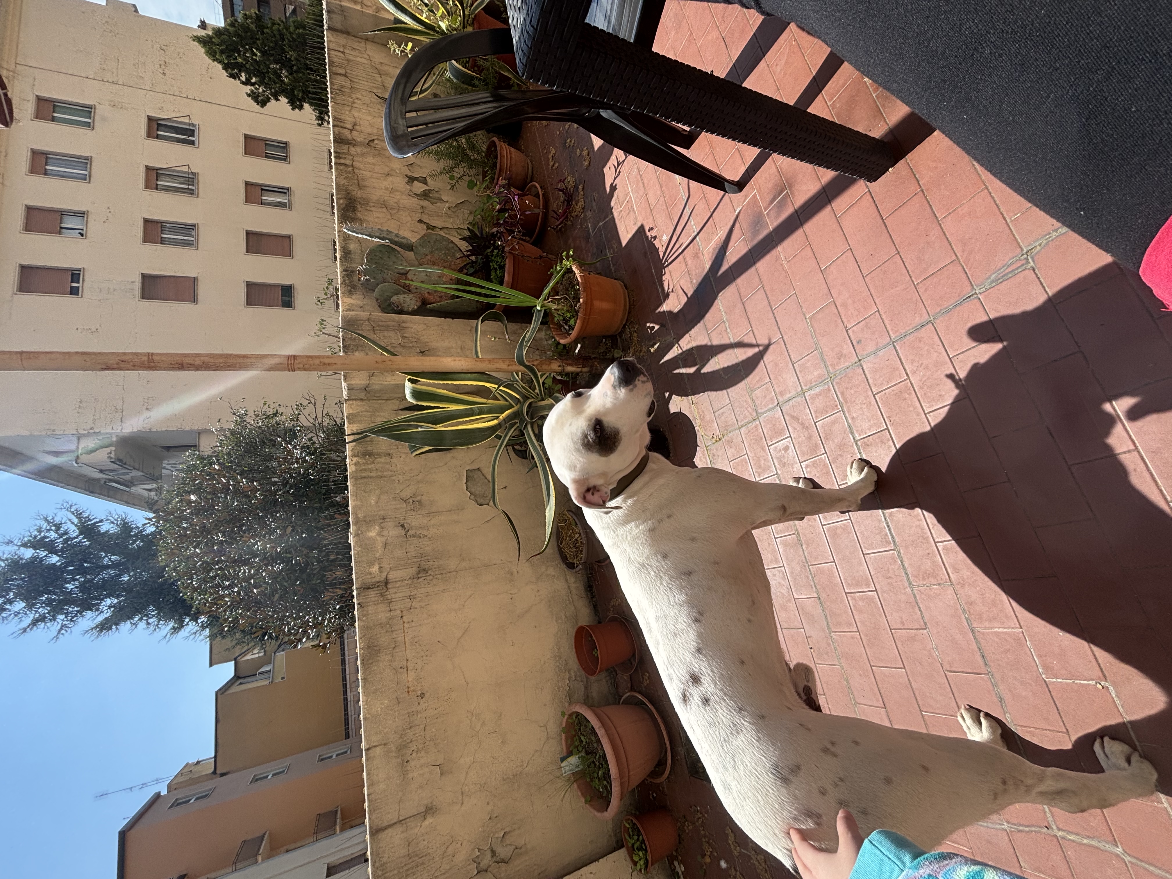 image-12