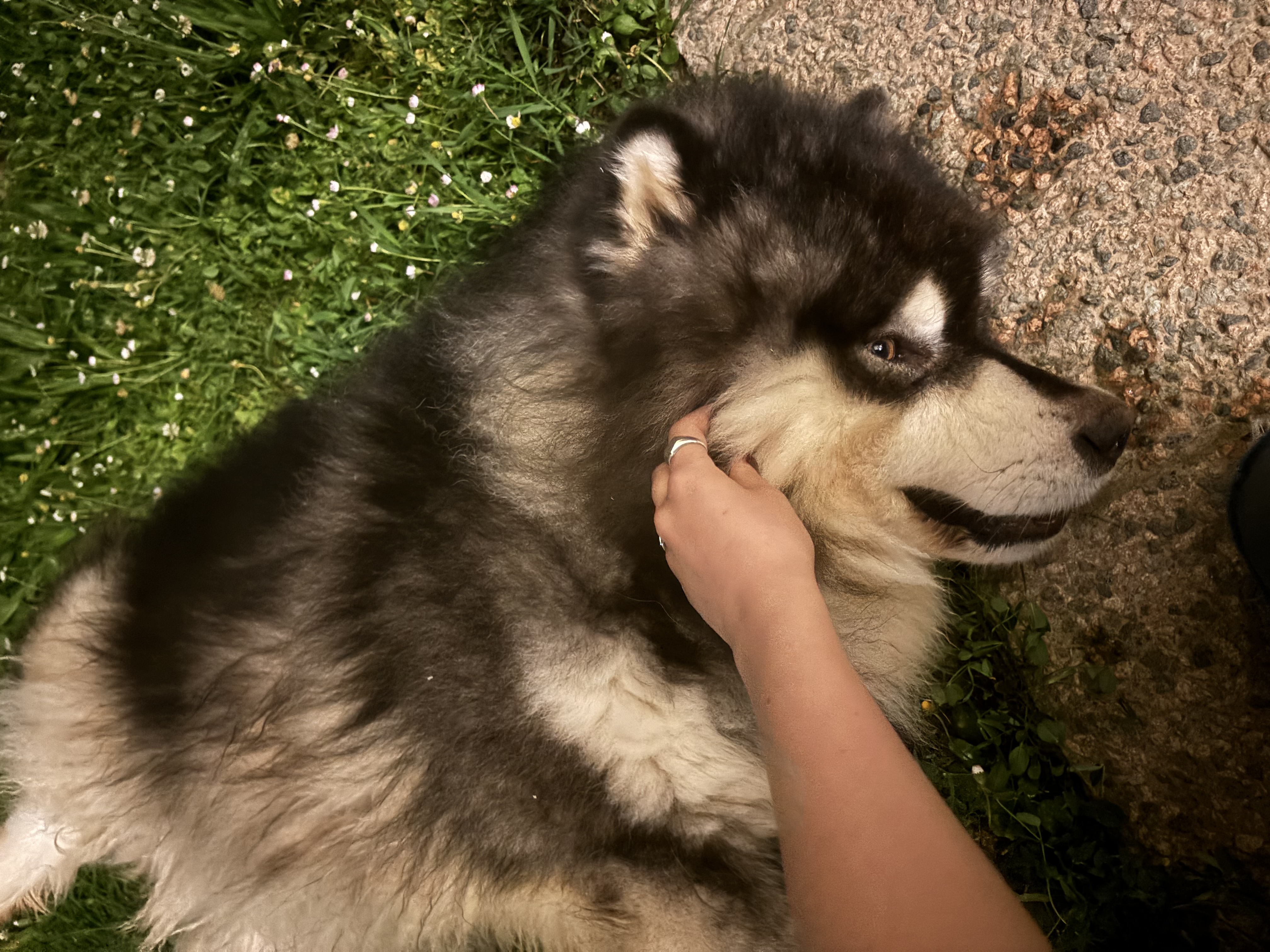 image-13