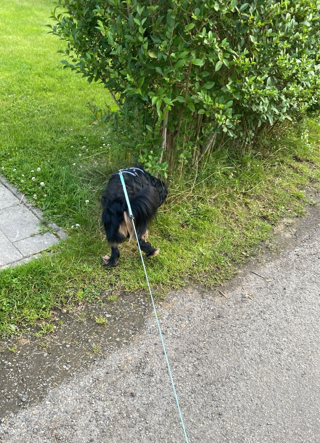 image-7