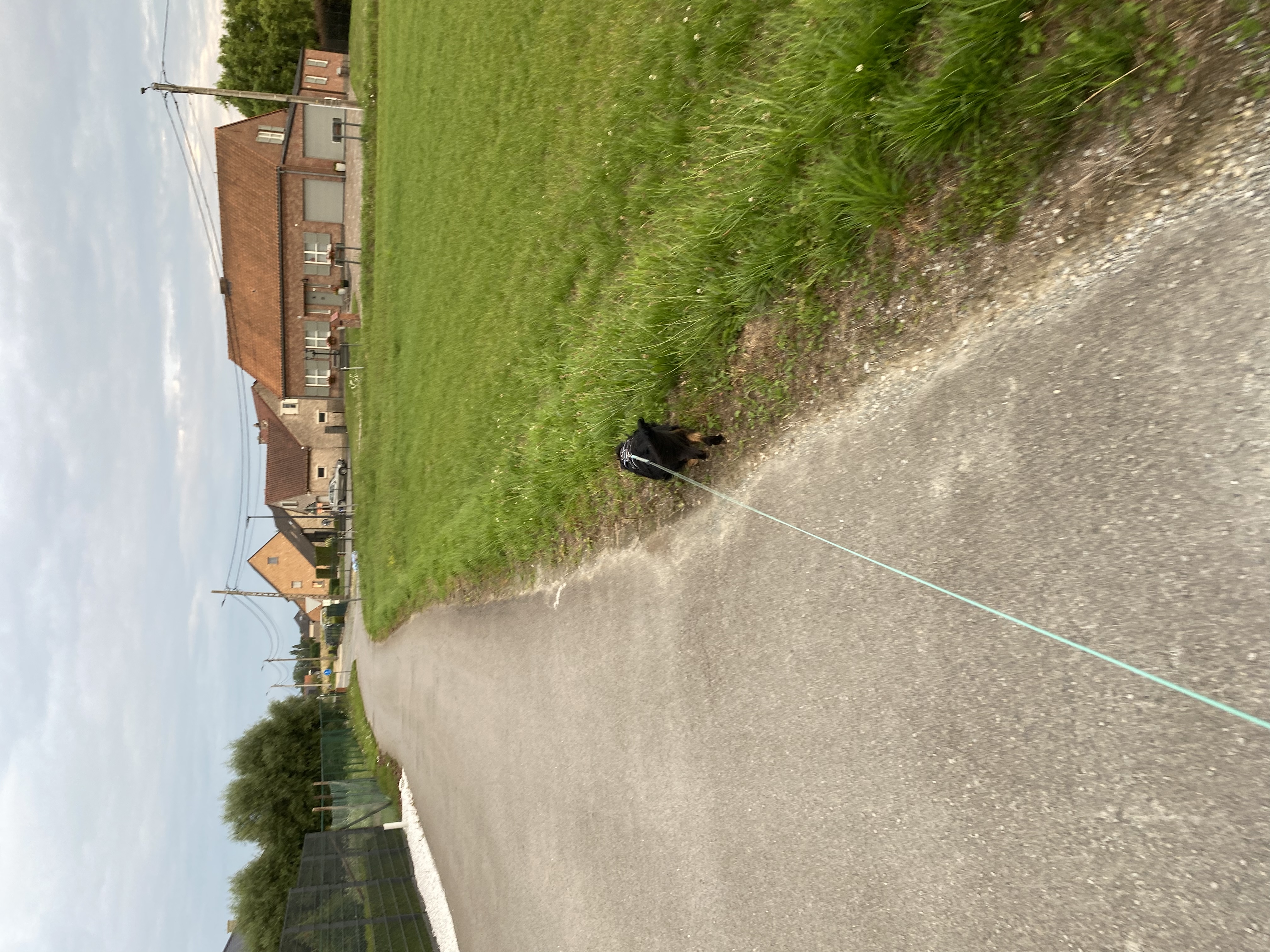 image-28
