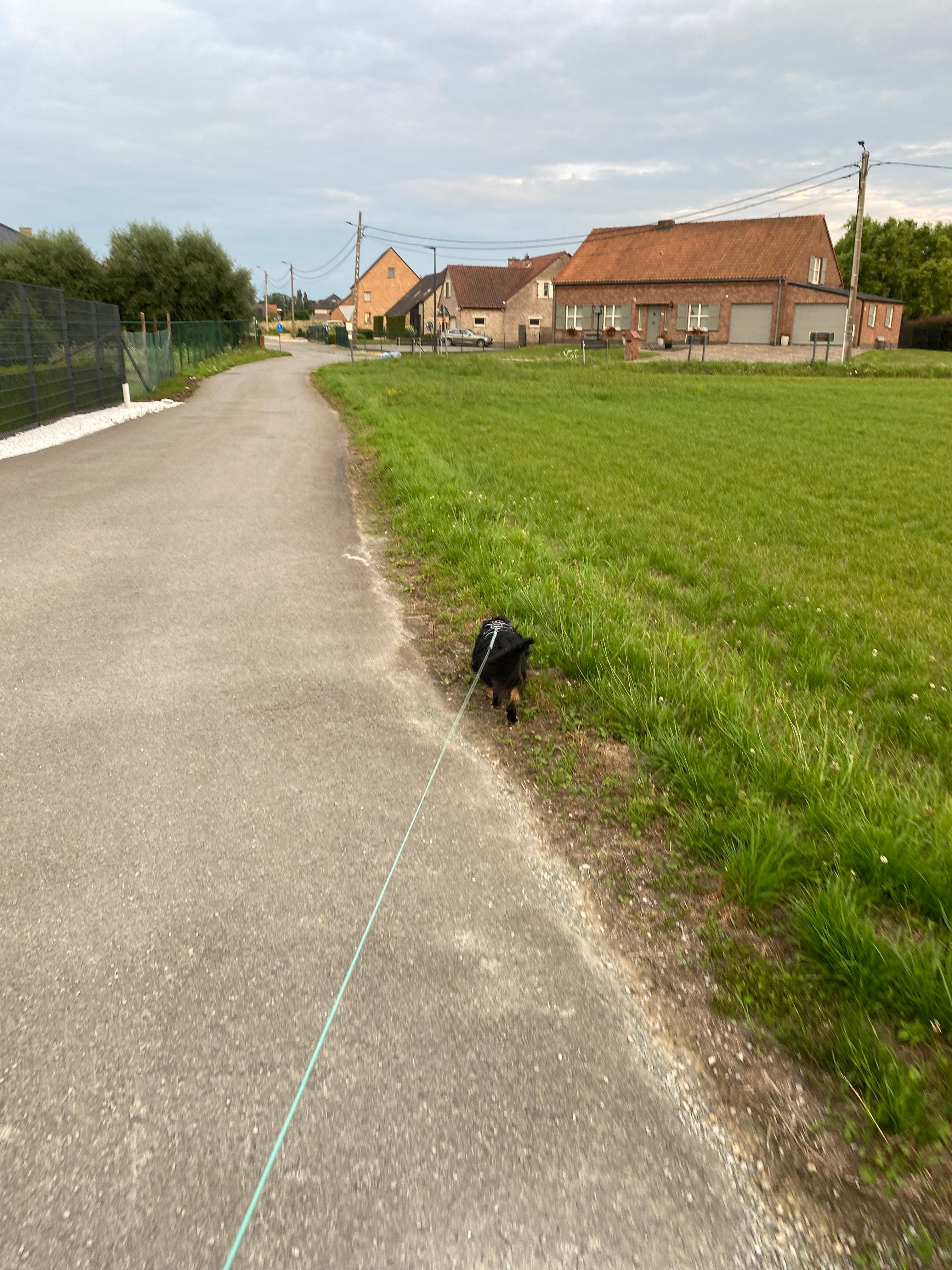image-28
