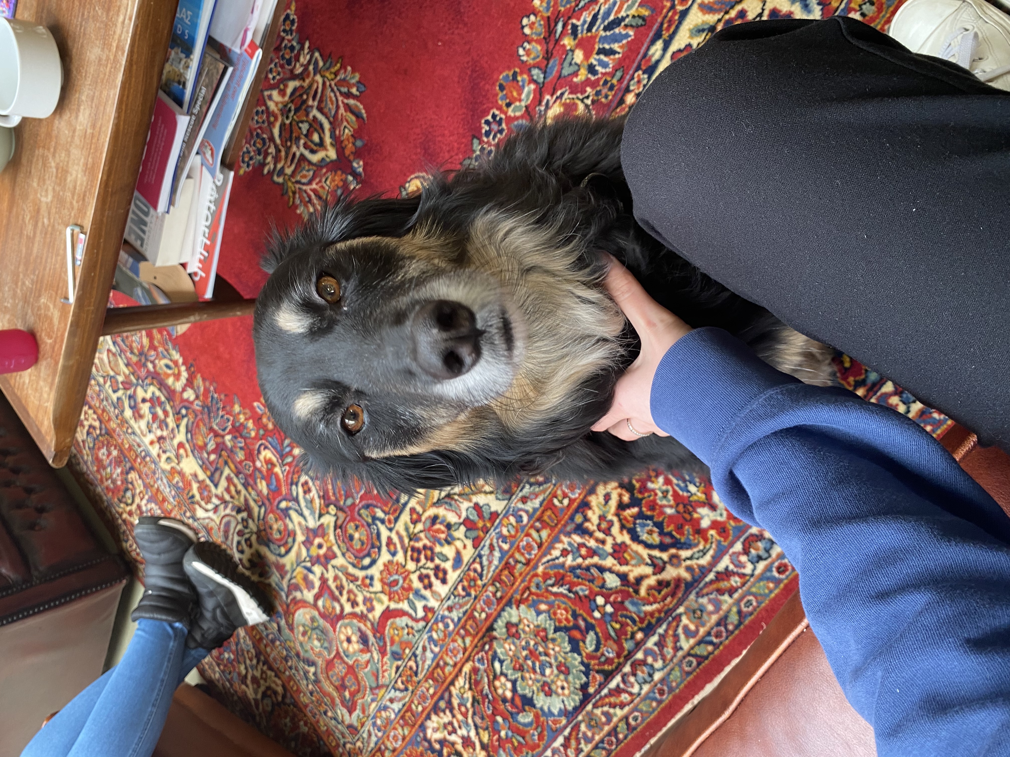 image-5