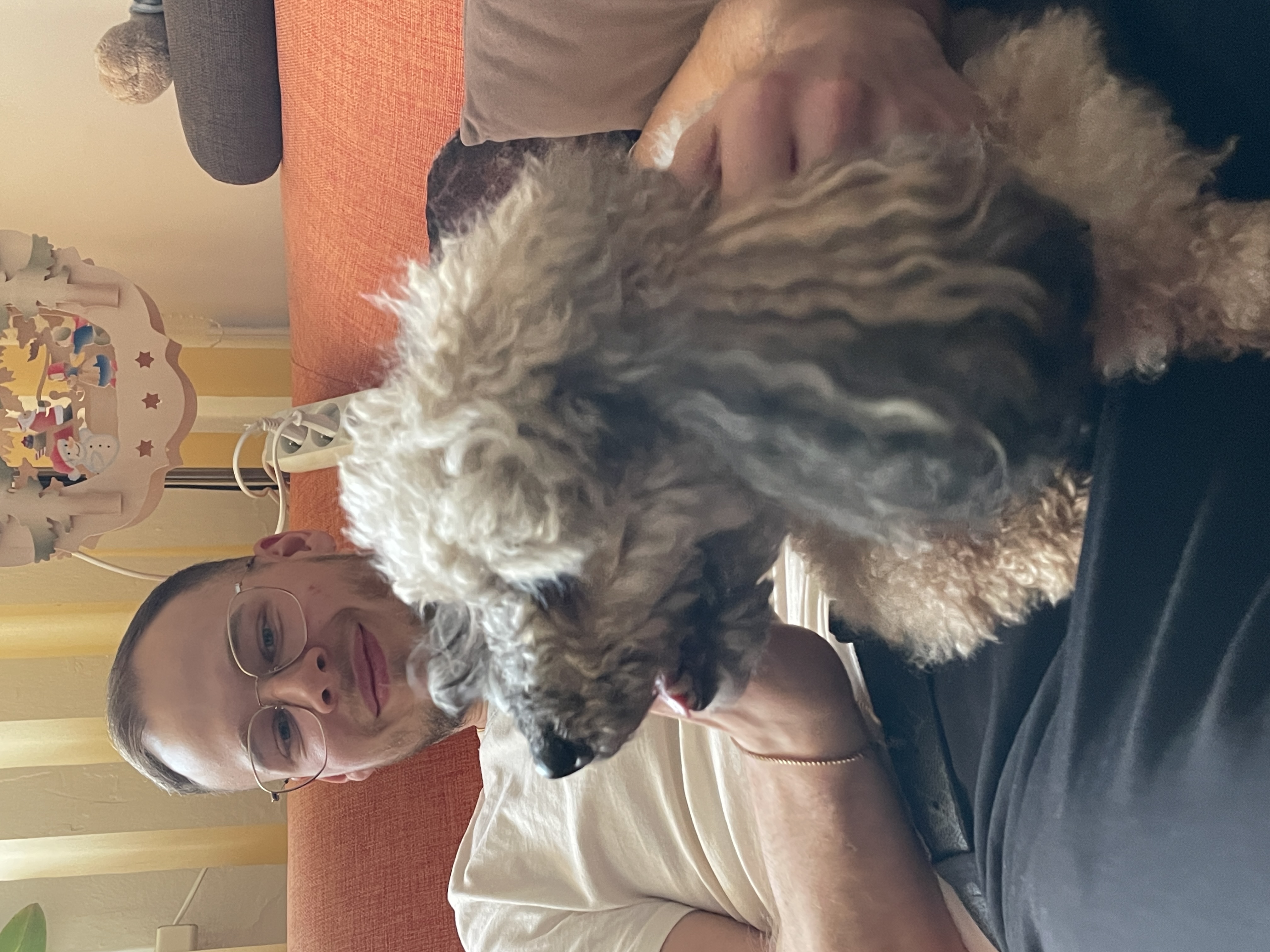 image-10