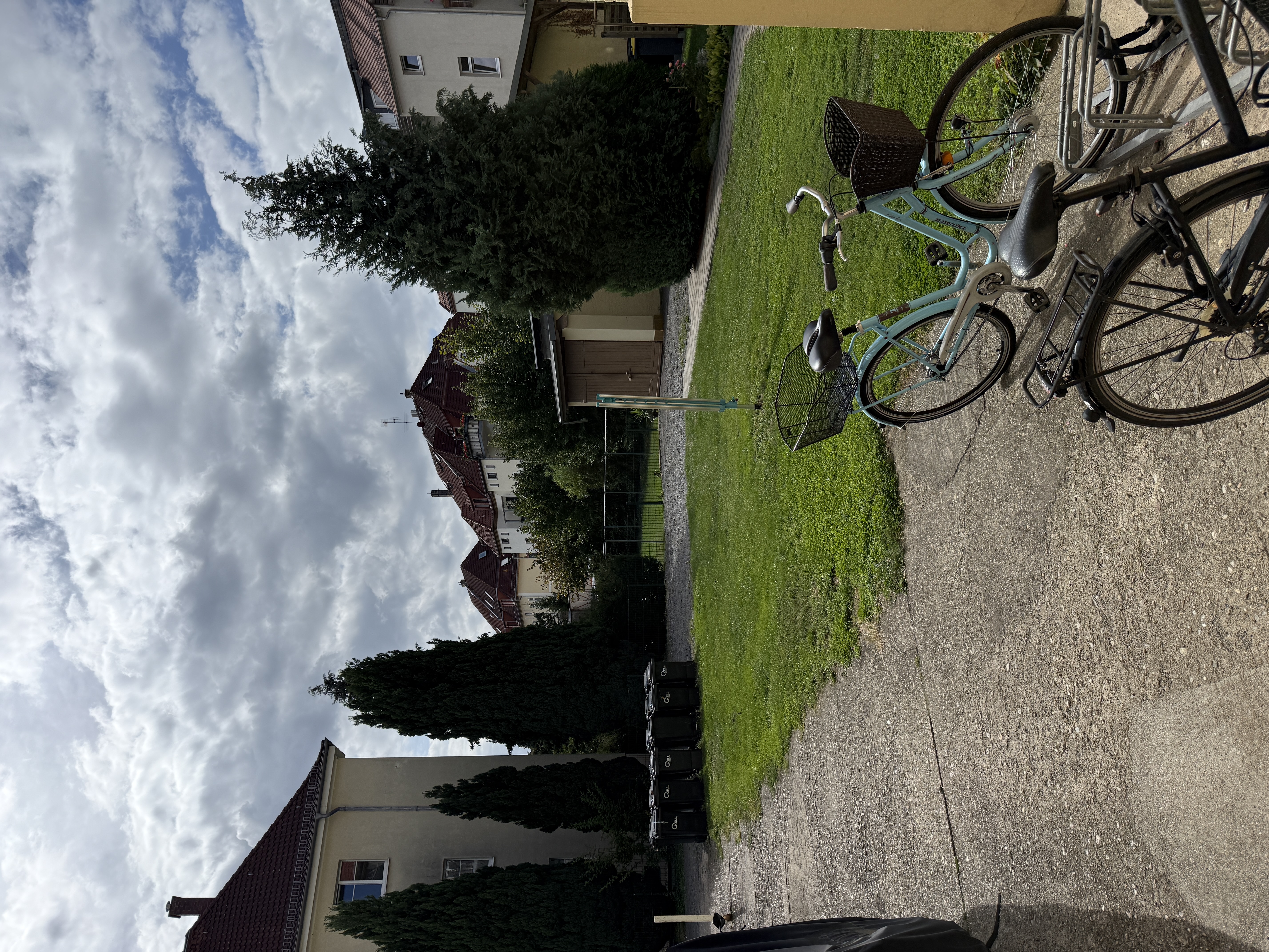 image-17