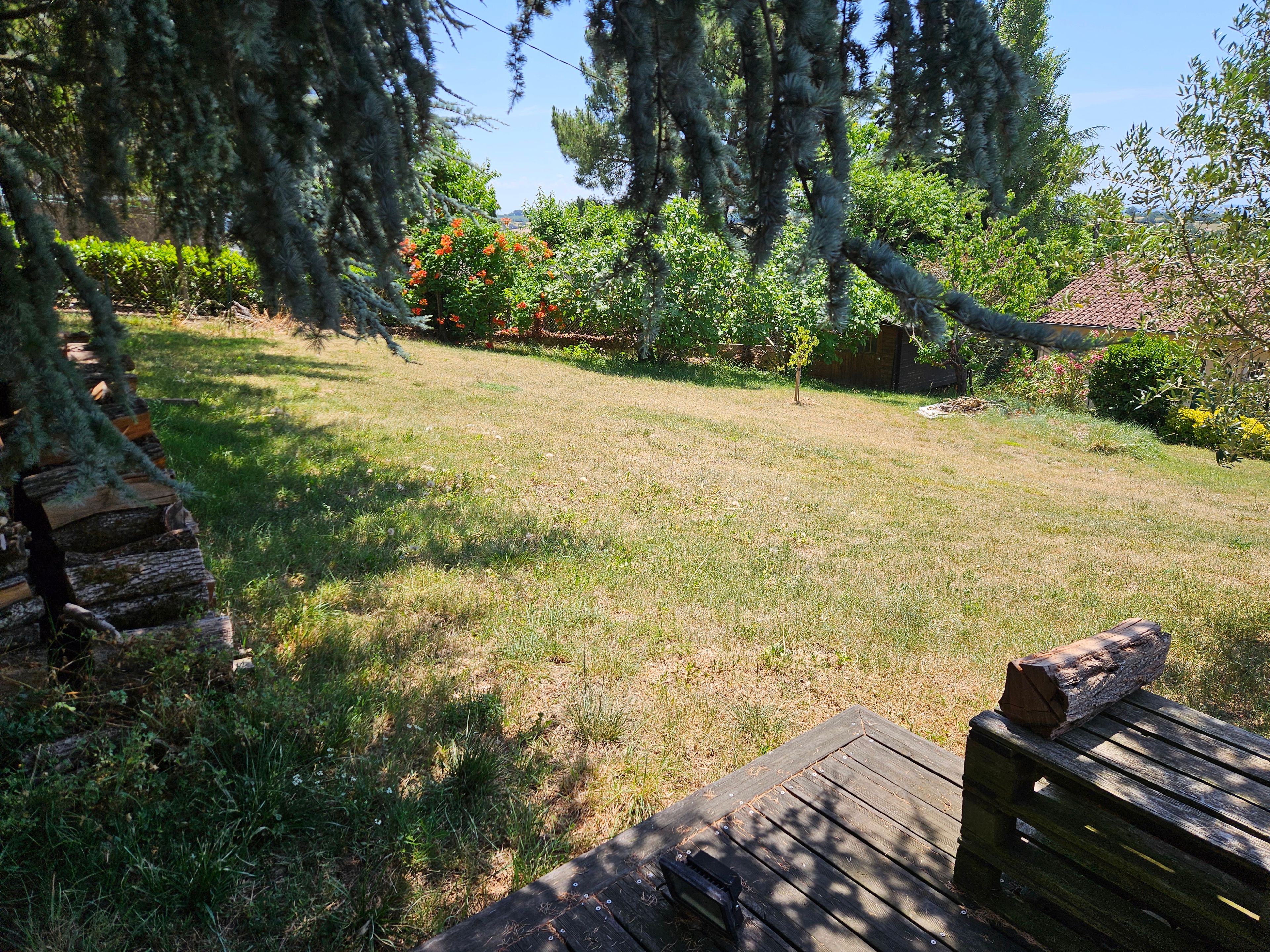 image-19