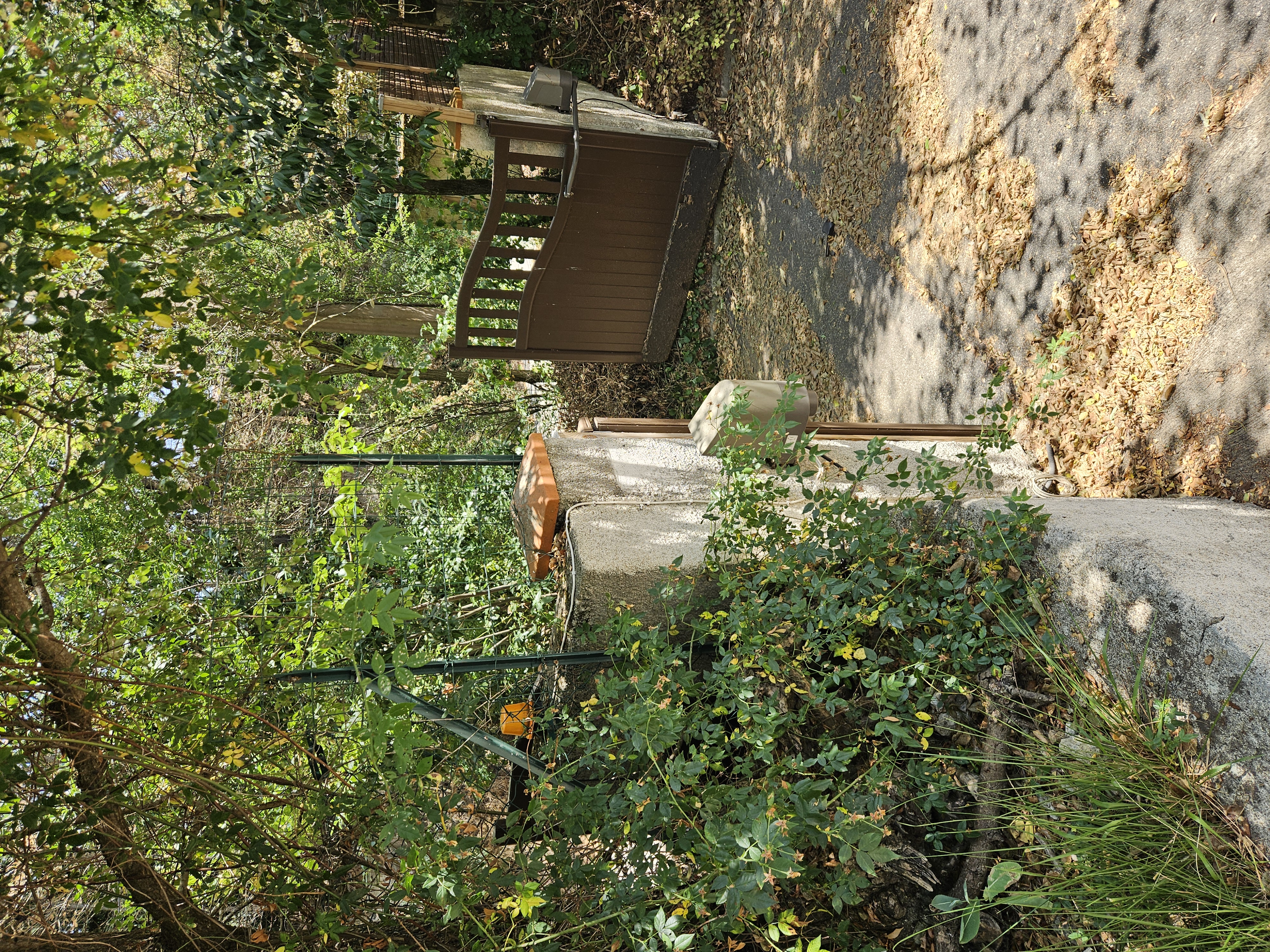 image-18