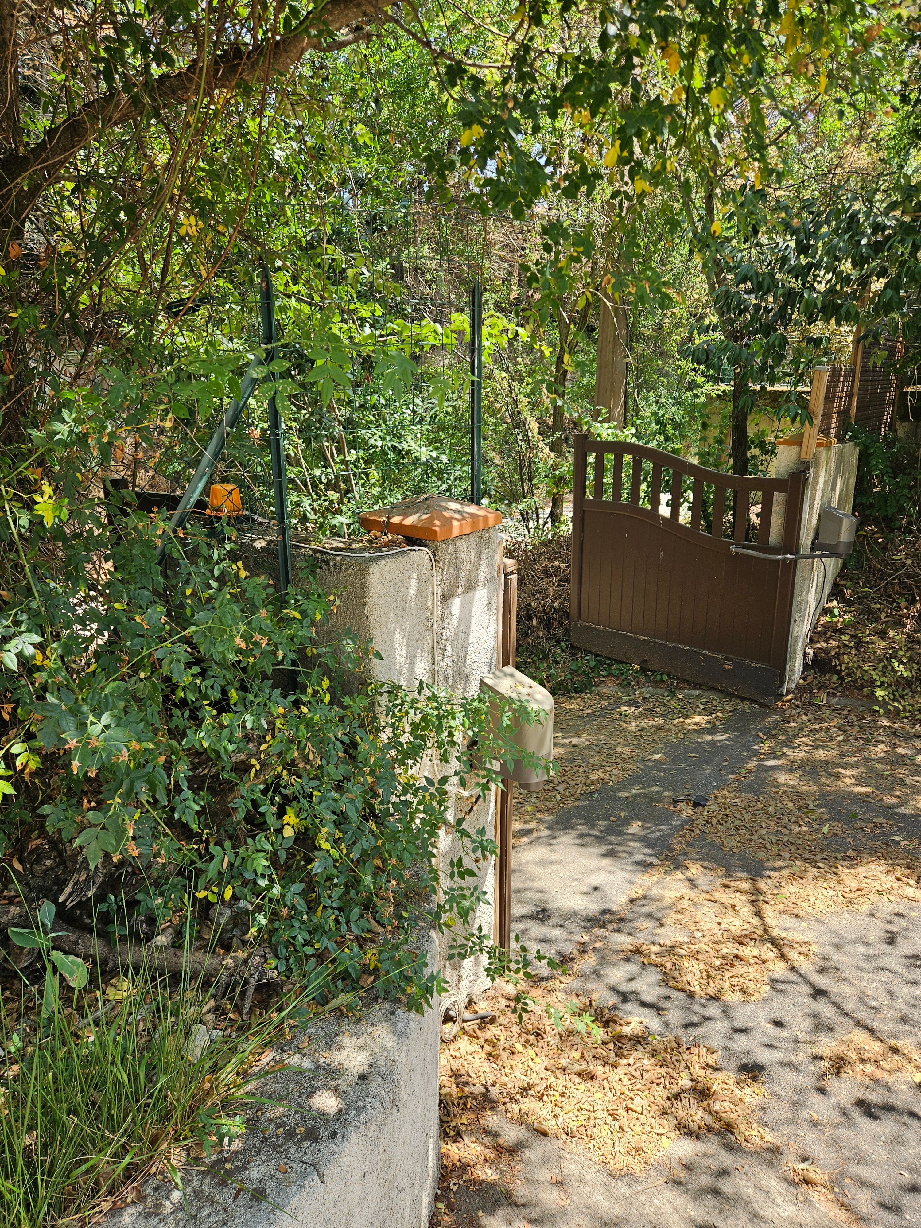 image-18