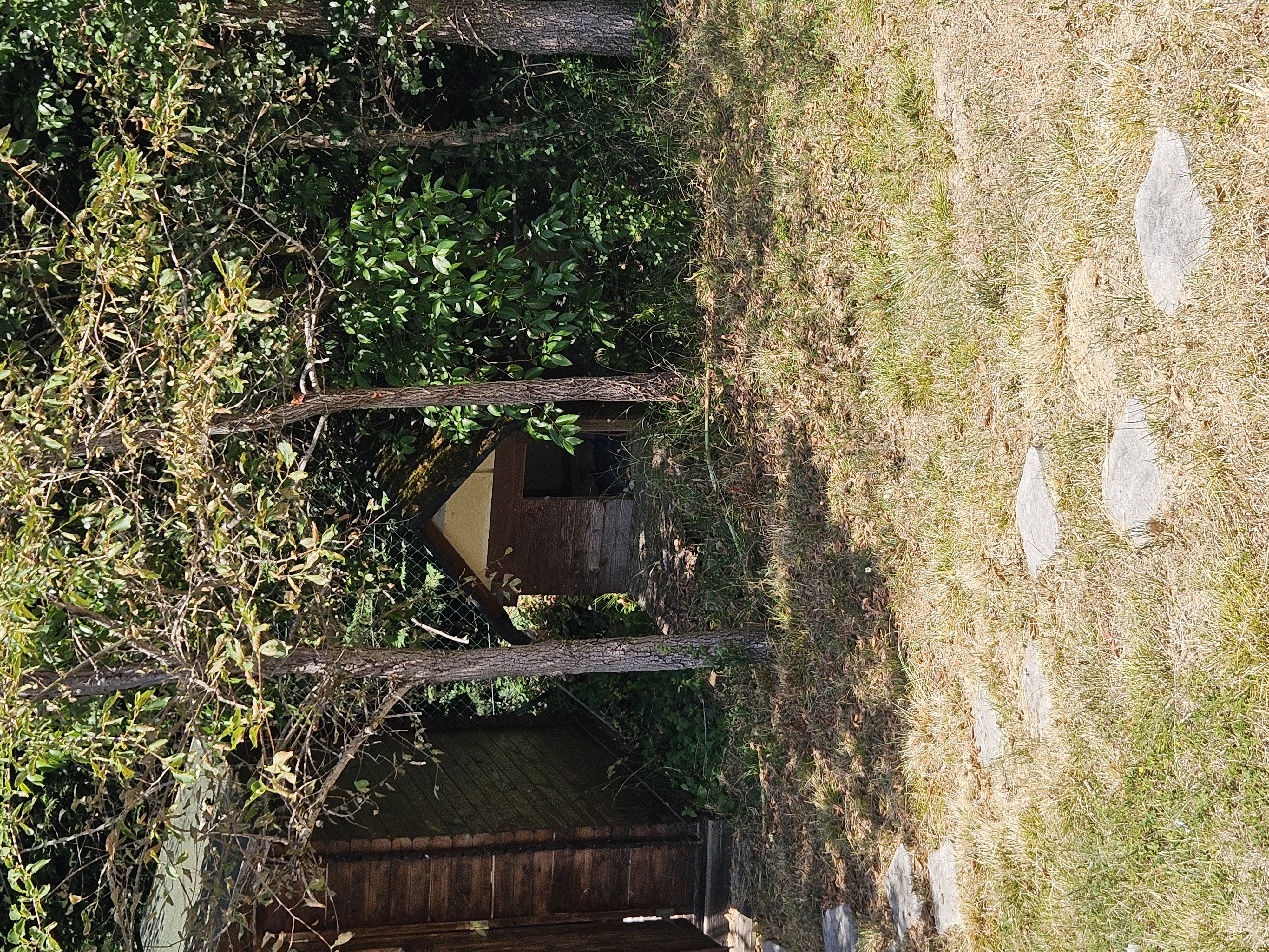 image-17