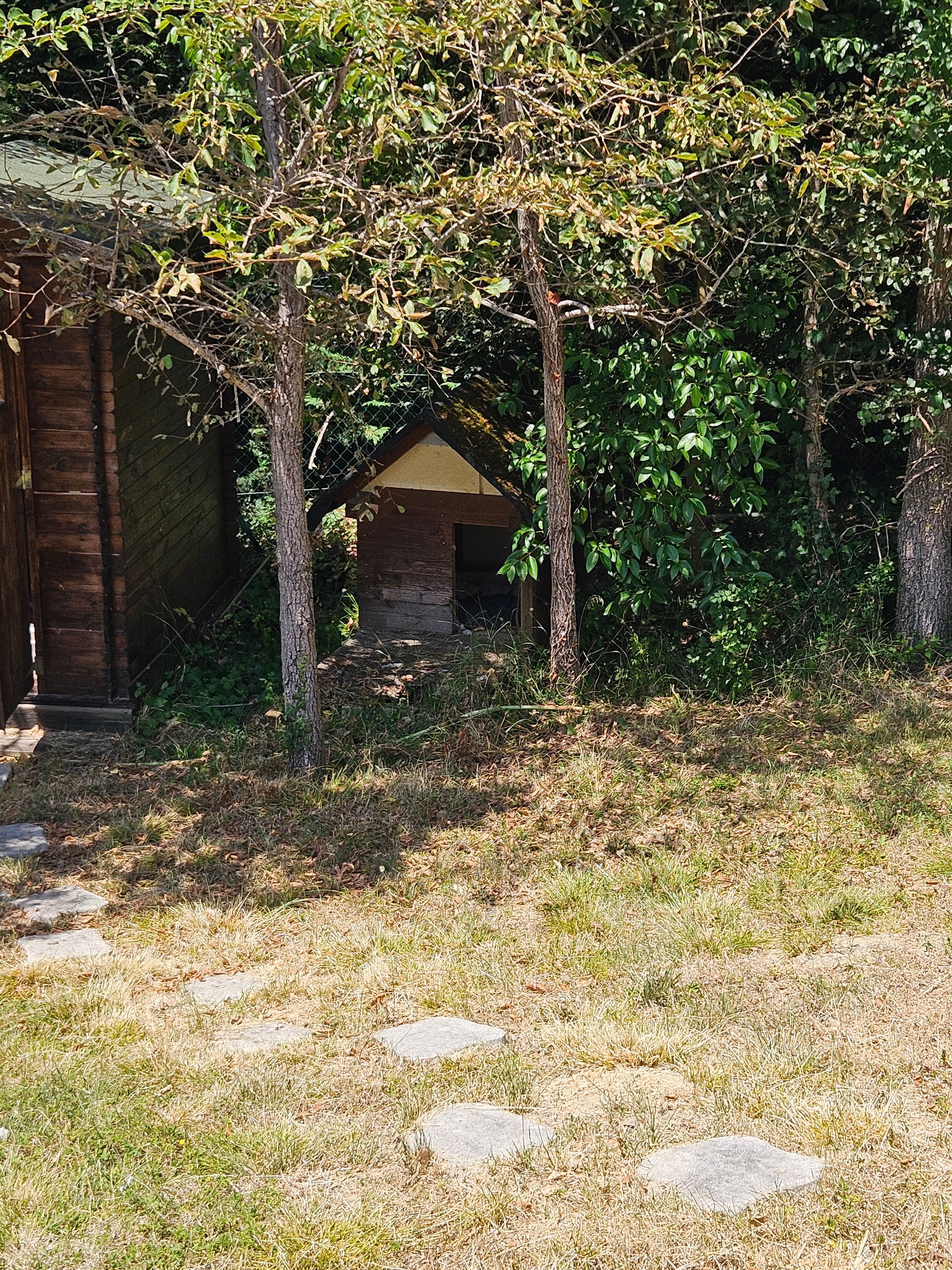 image-17