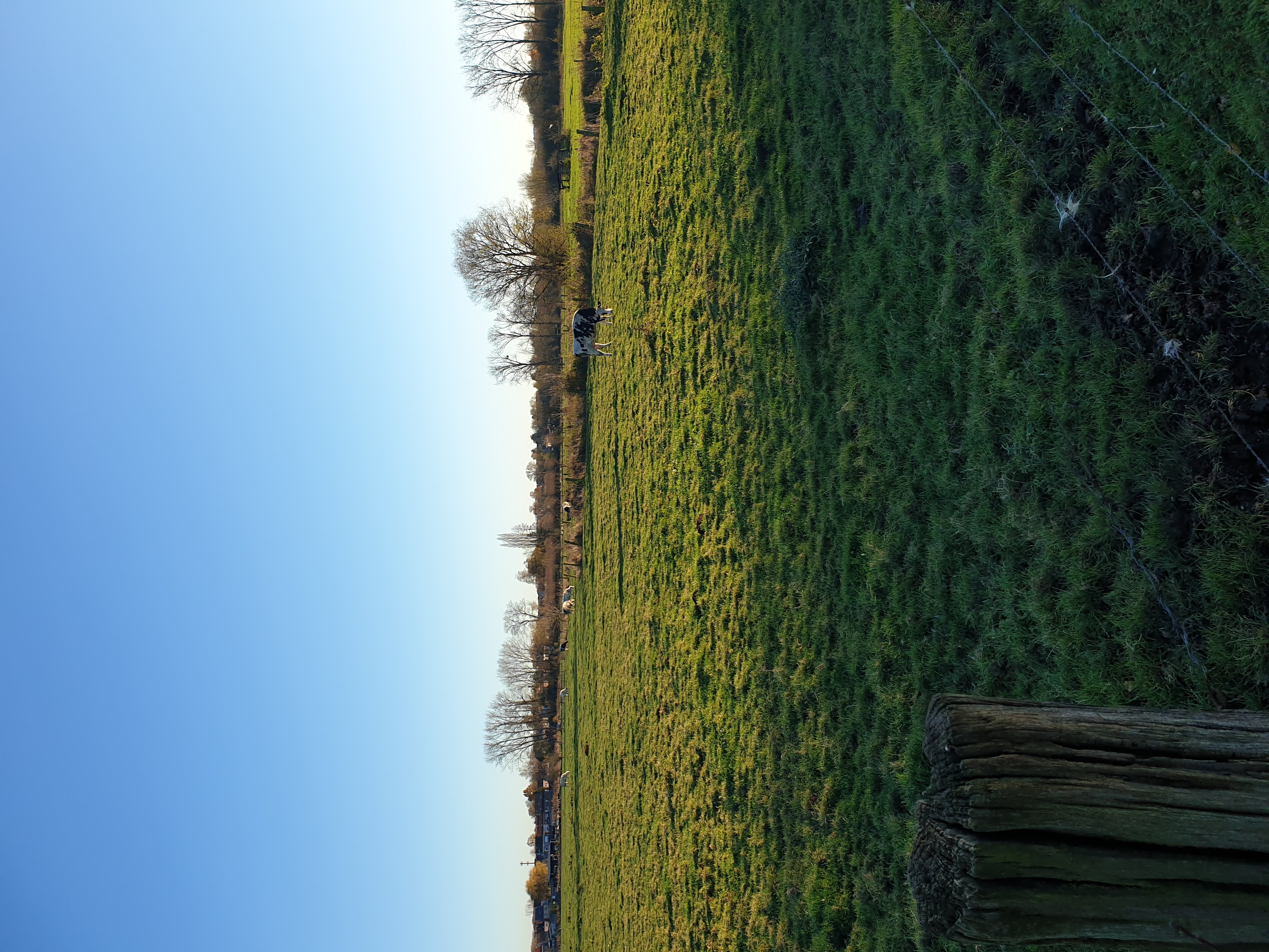image-14