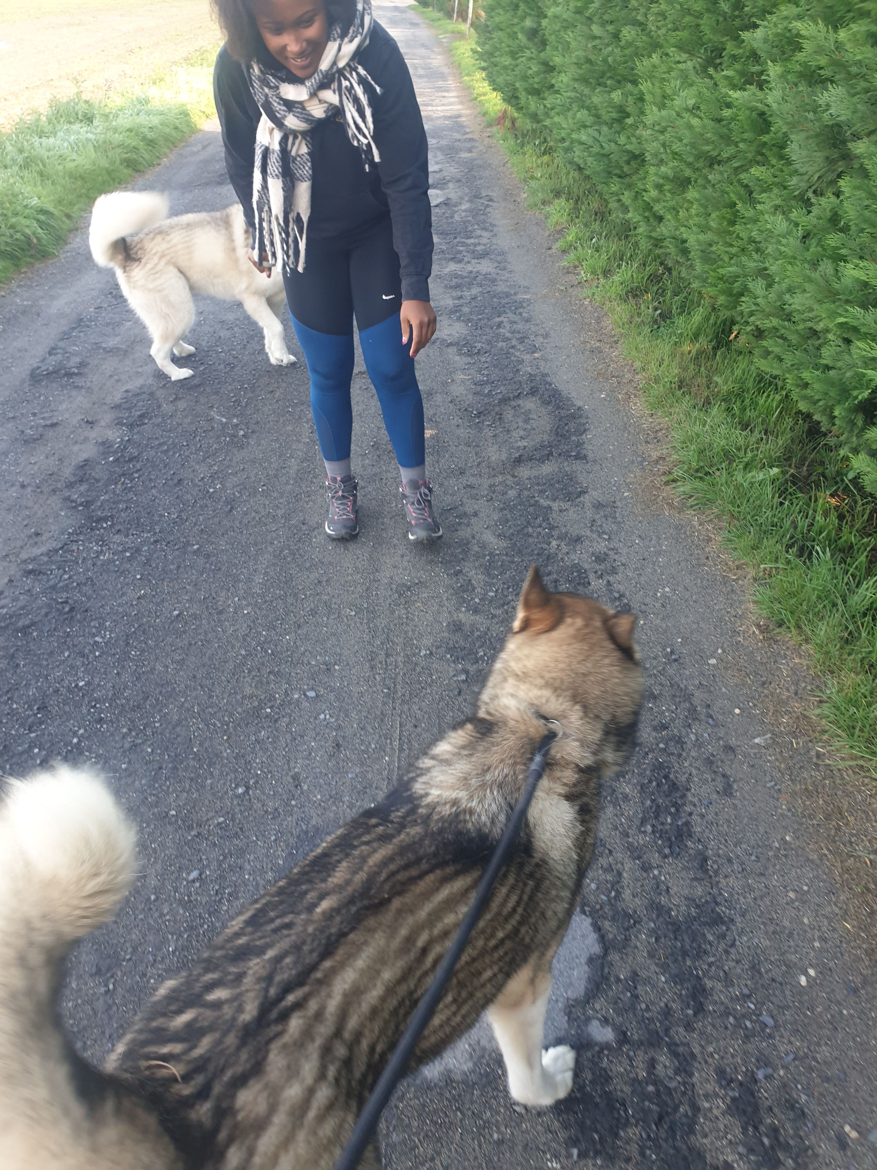 image-8