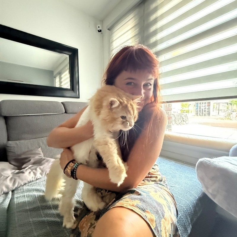 Raminta