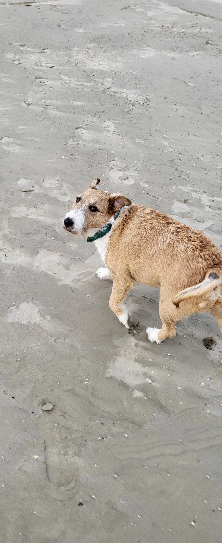 image-8