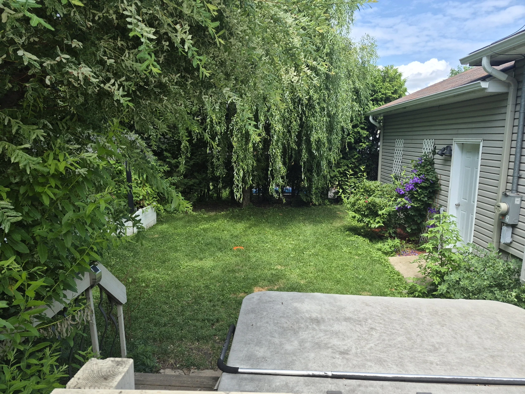 image-24