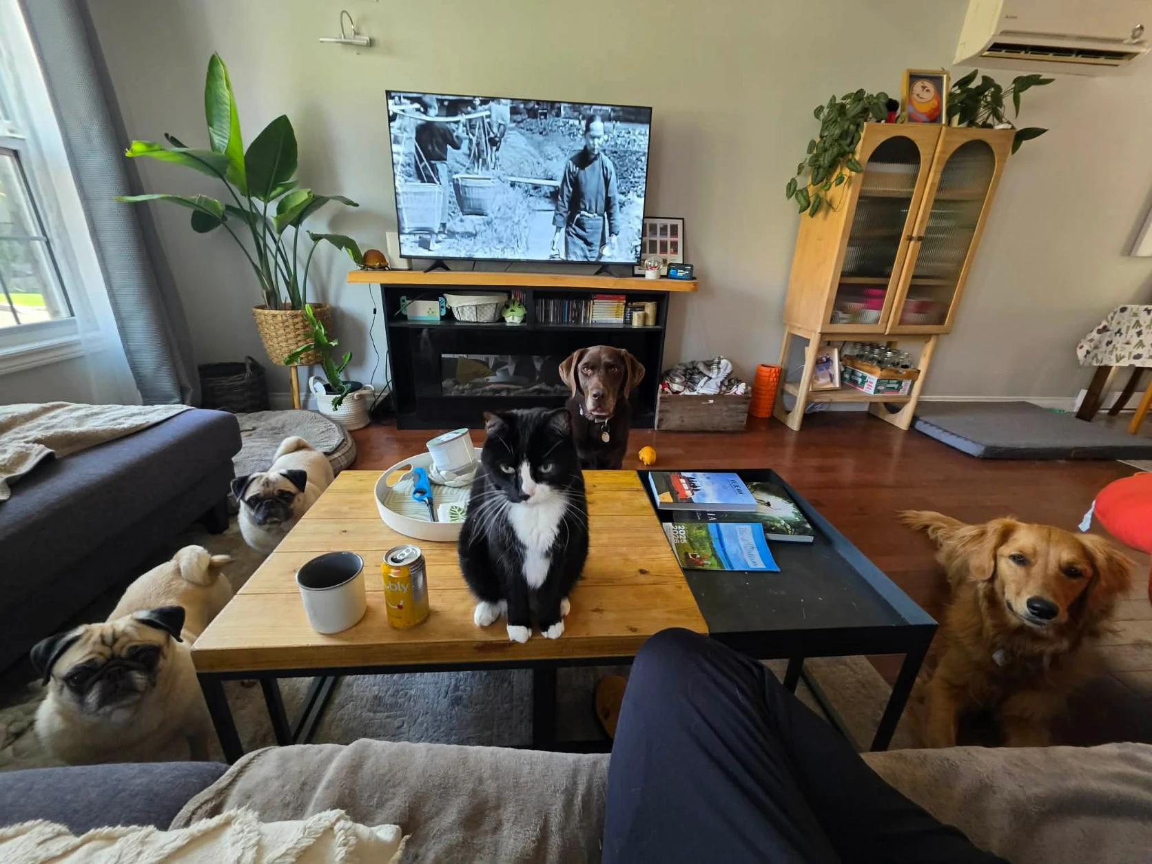 image-15