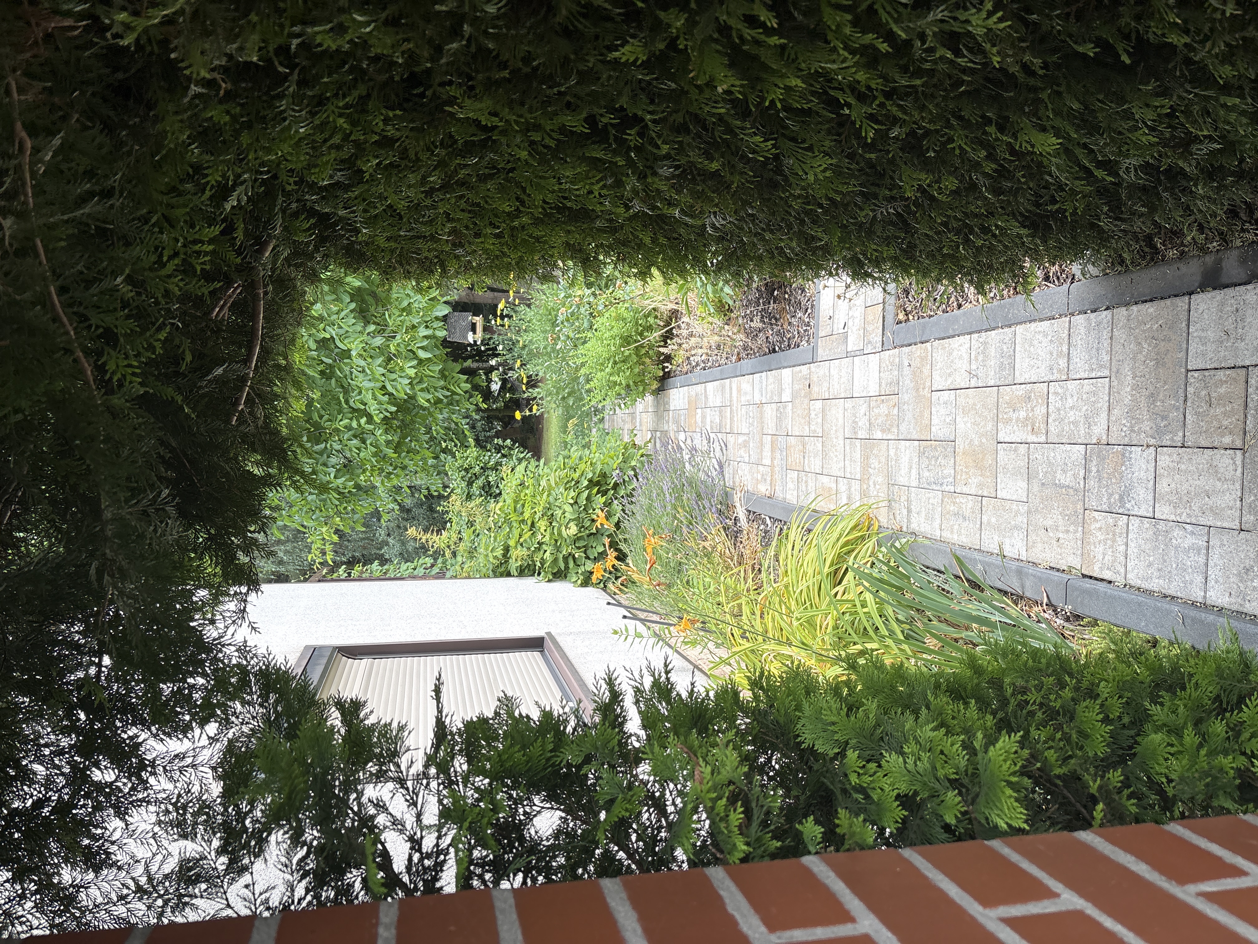 image-12