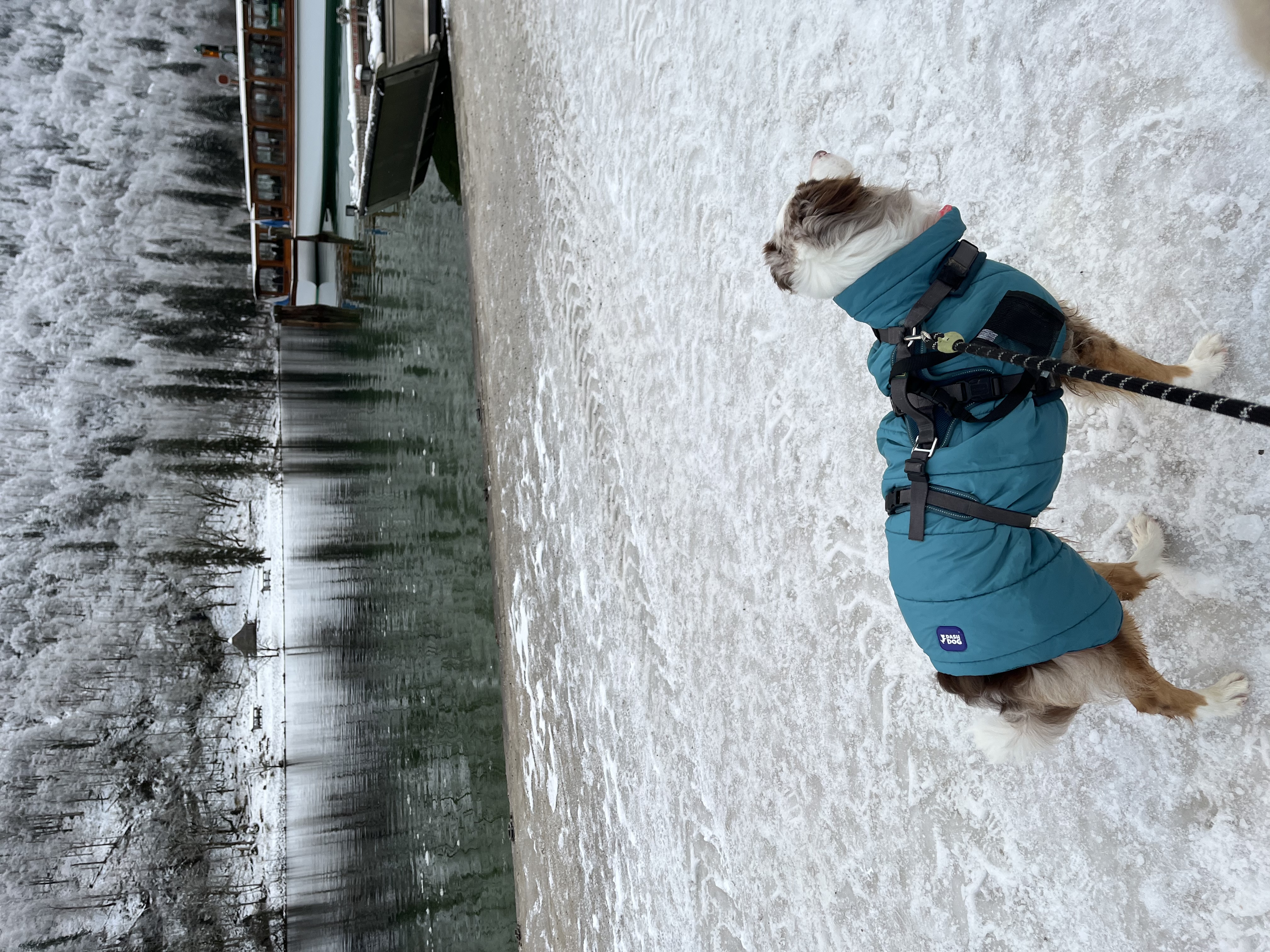 image-8