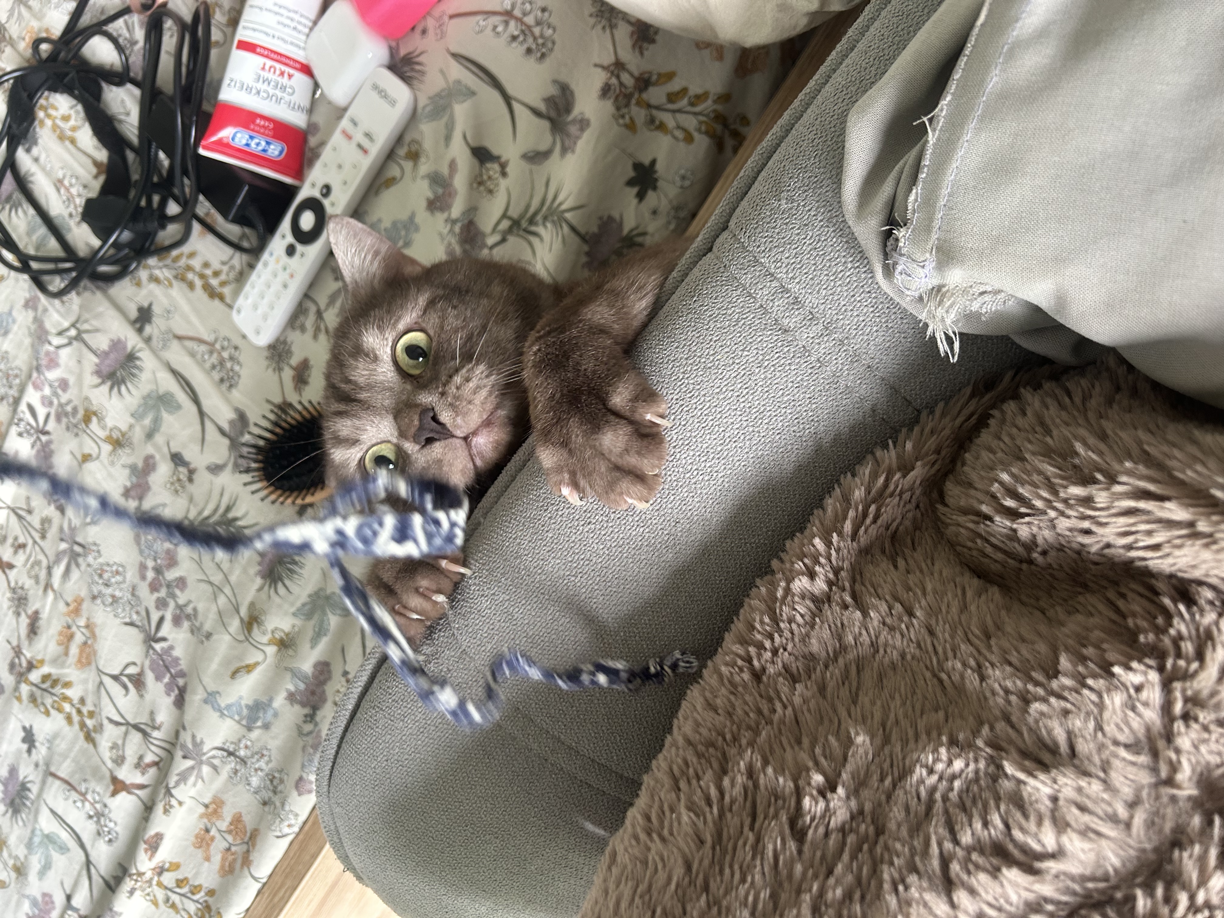 image-8