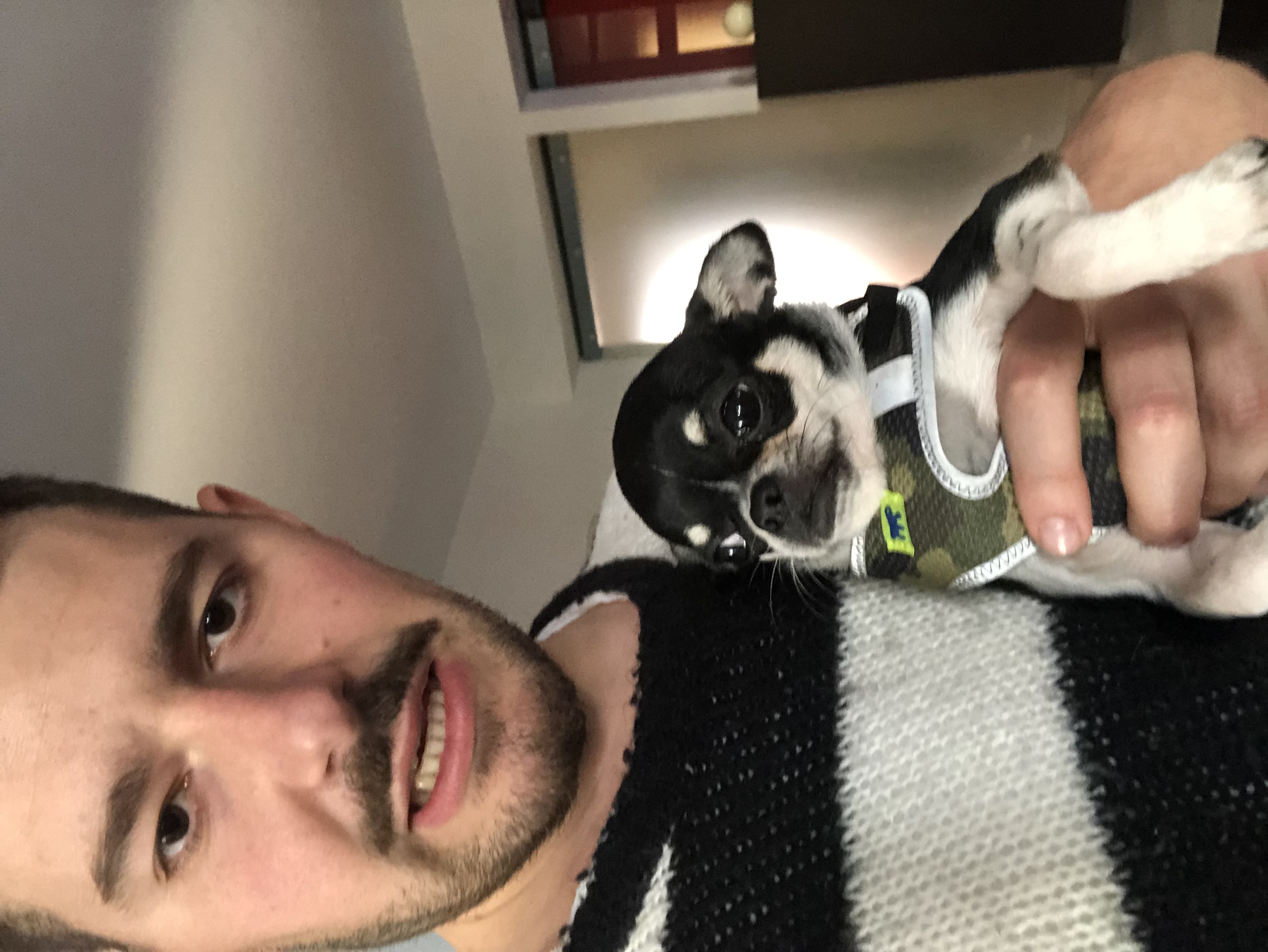 image-9