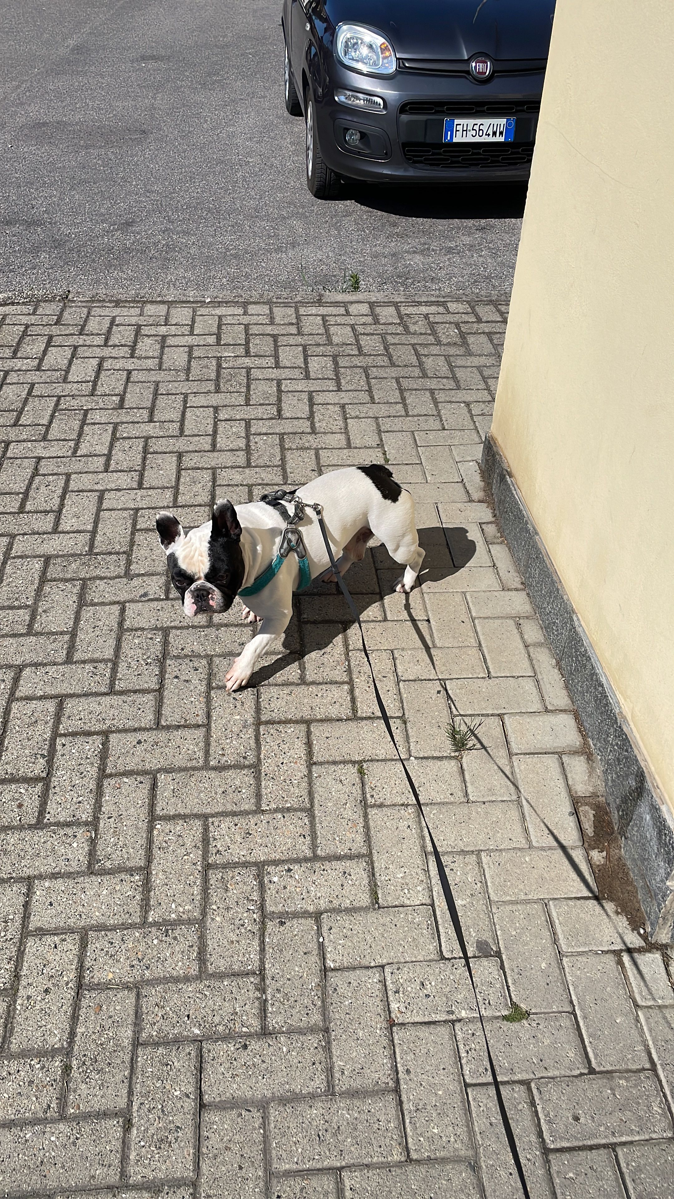 image-8