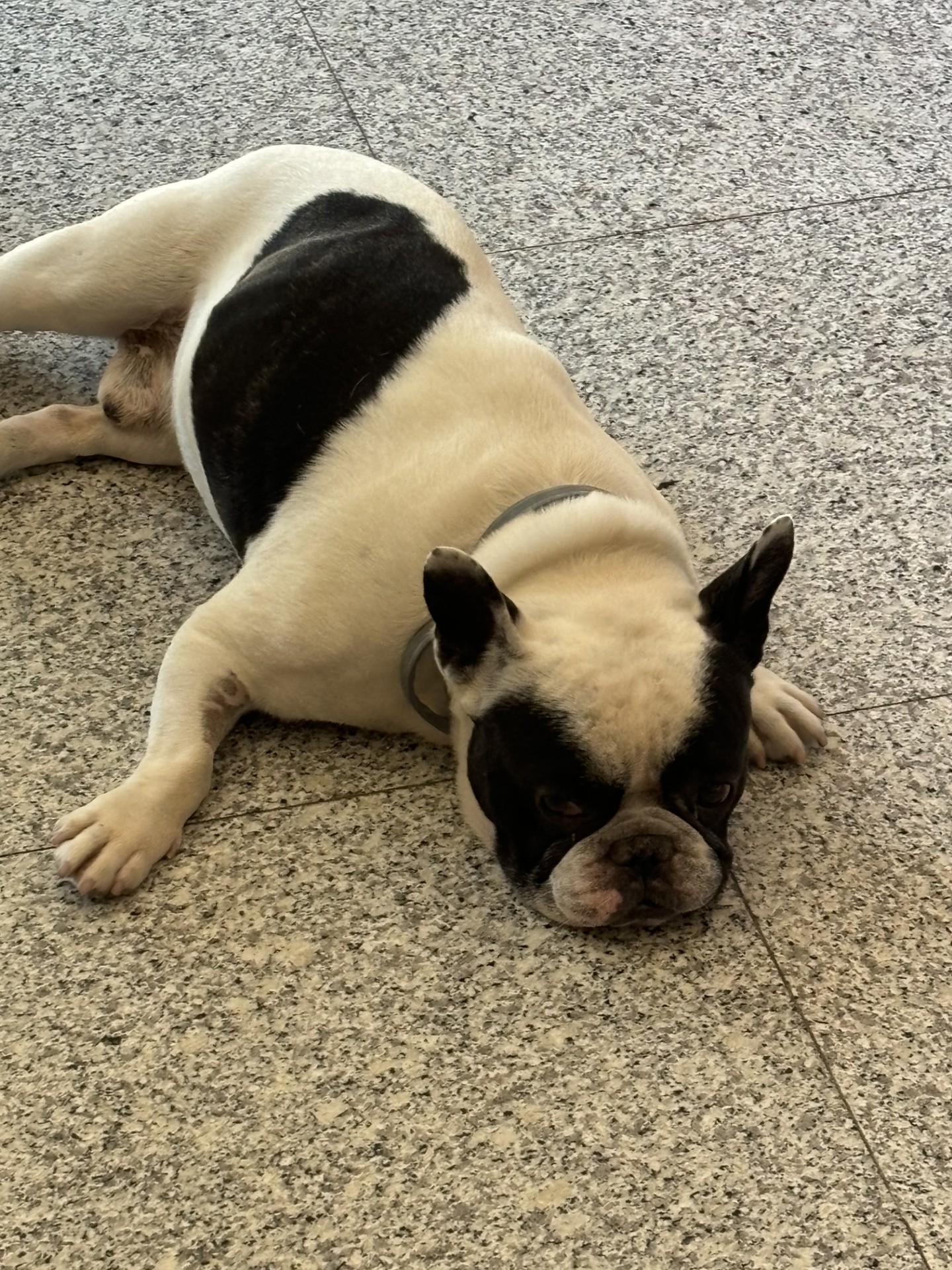 image-6