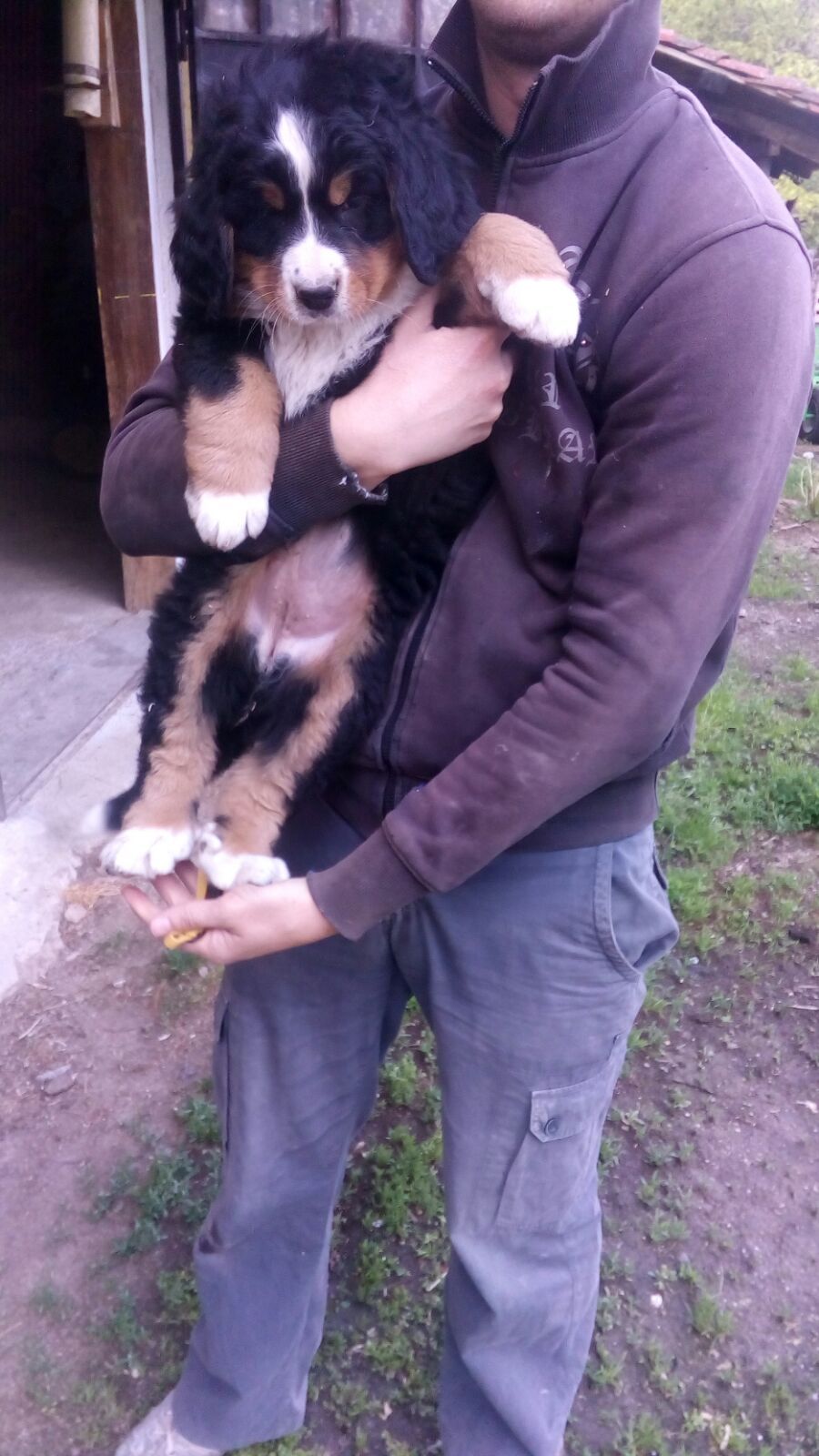 image-5