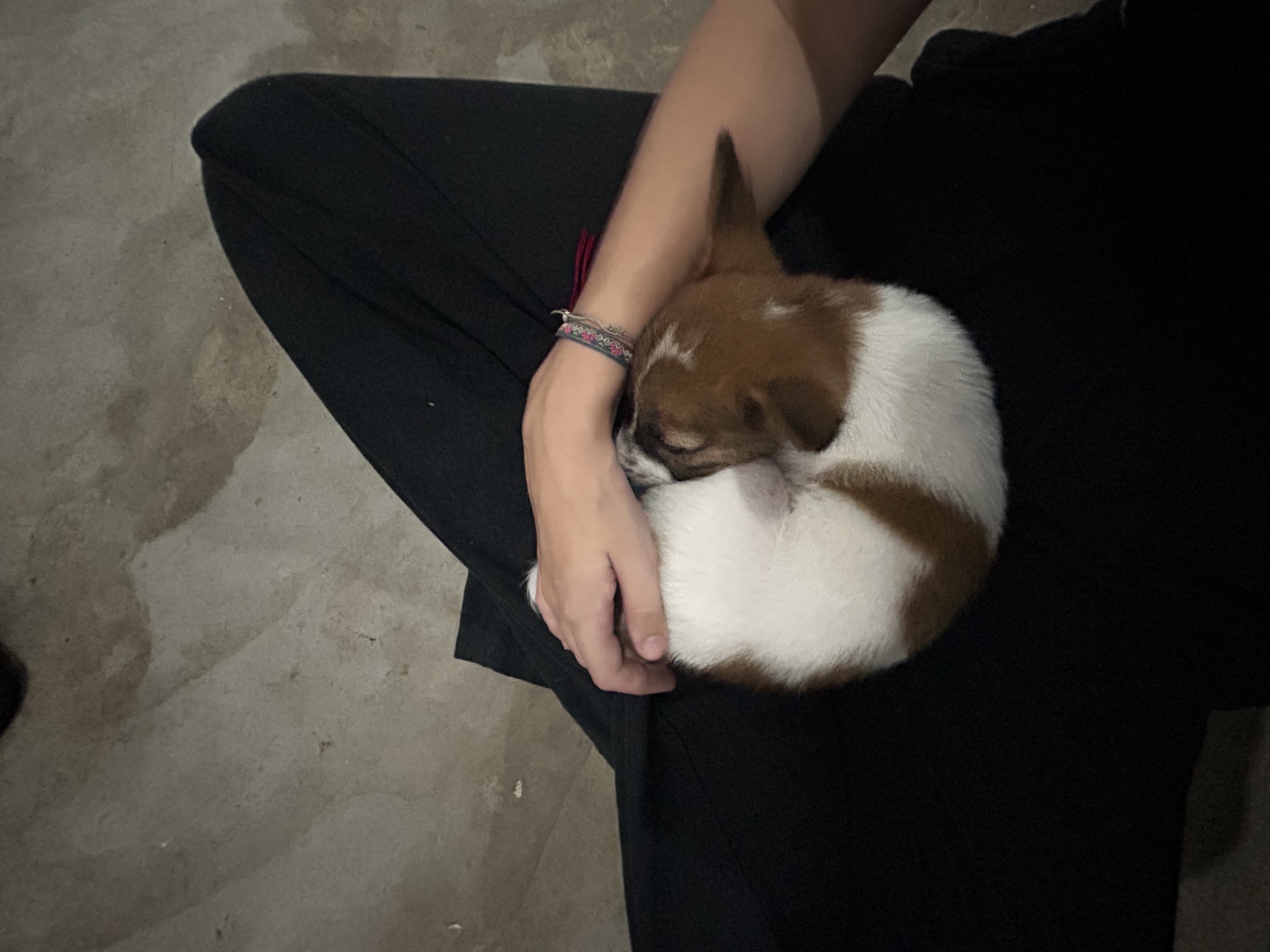 image-4