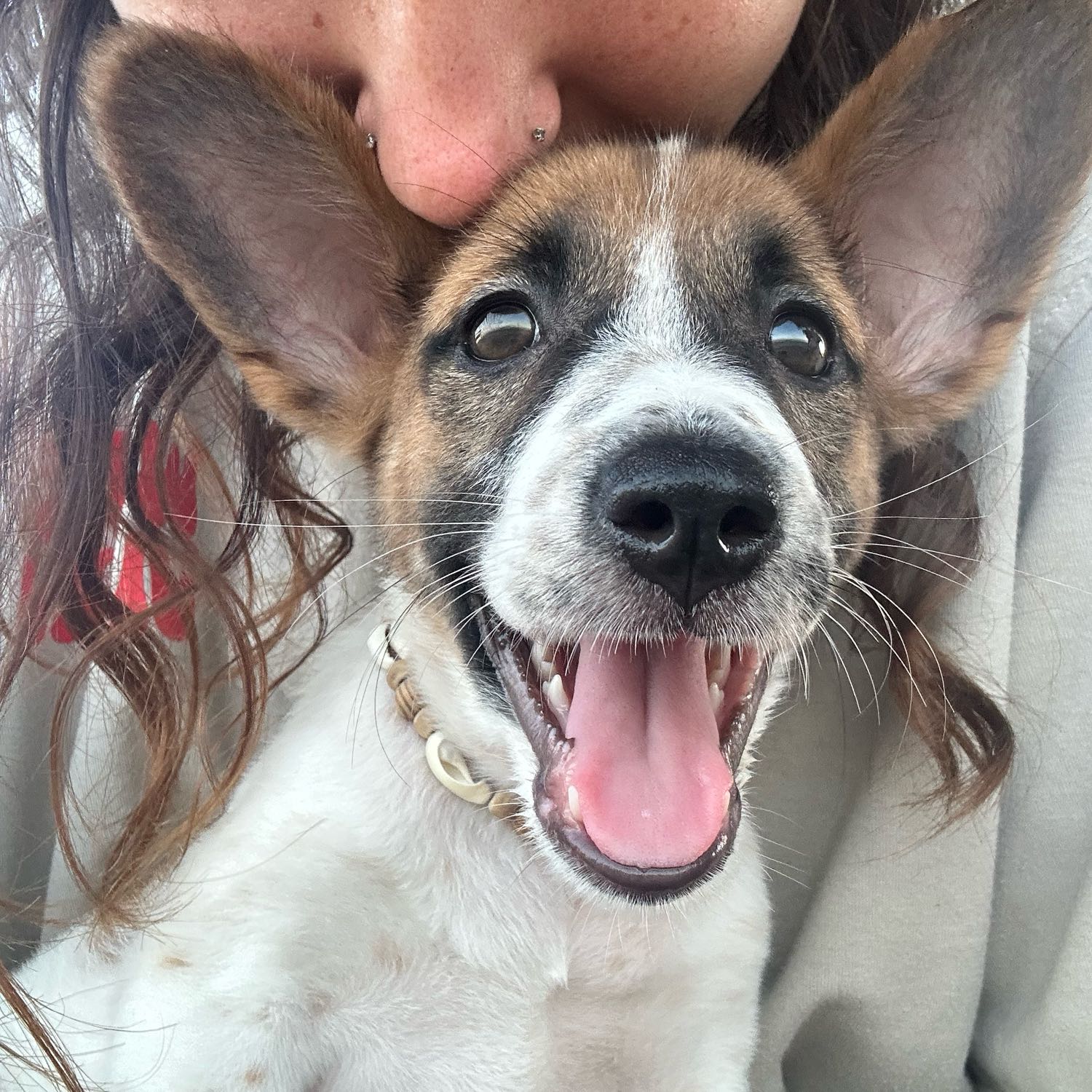 Kiki