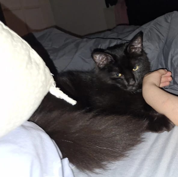 Blacky