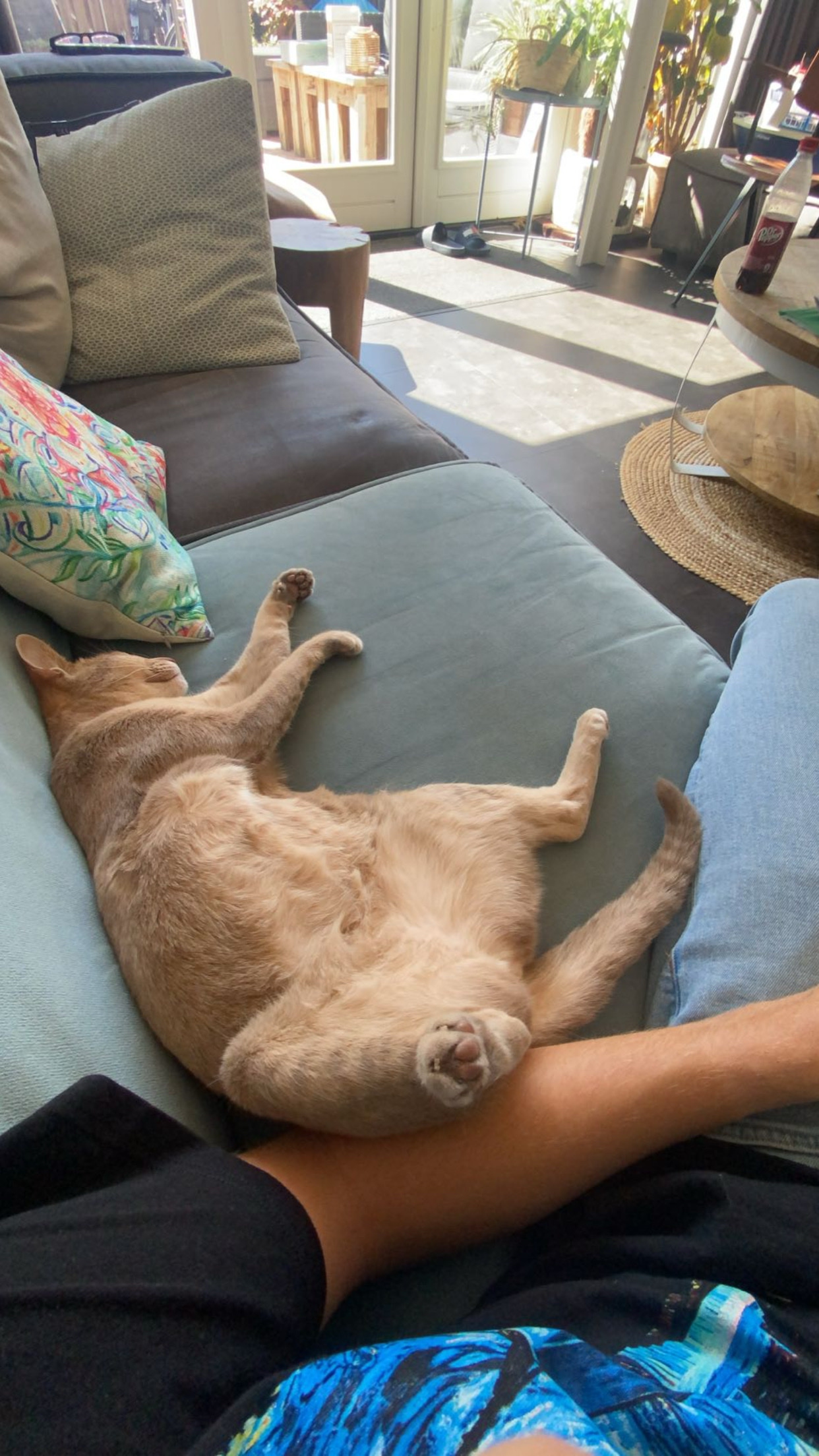 image-4
