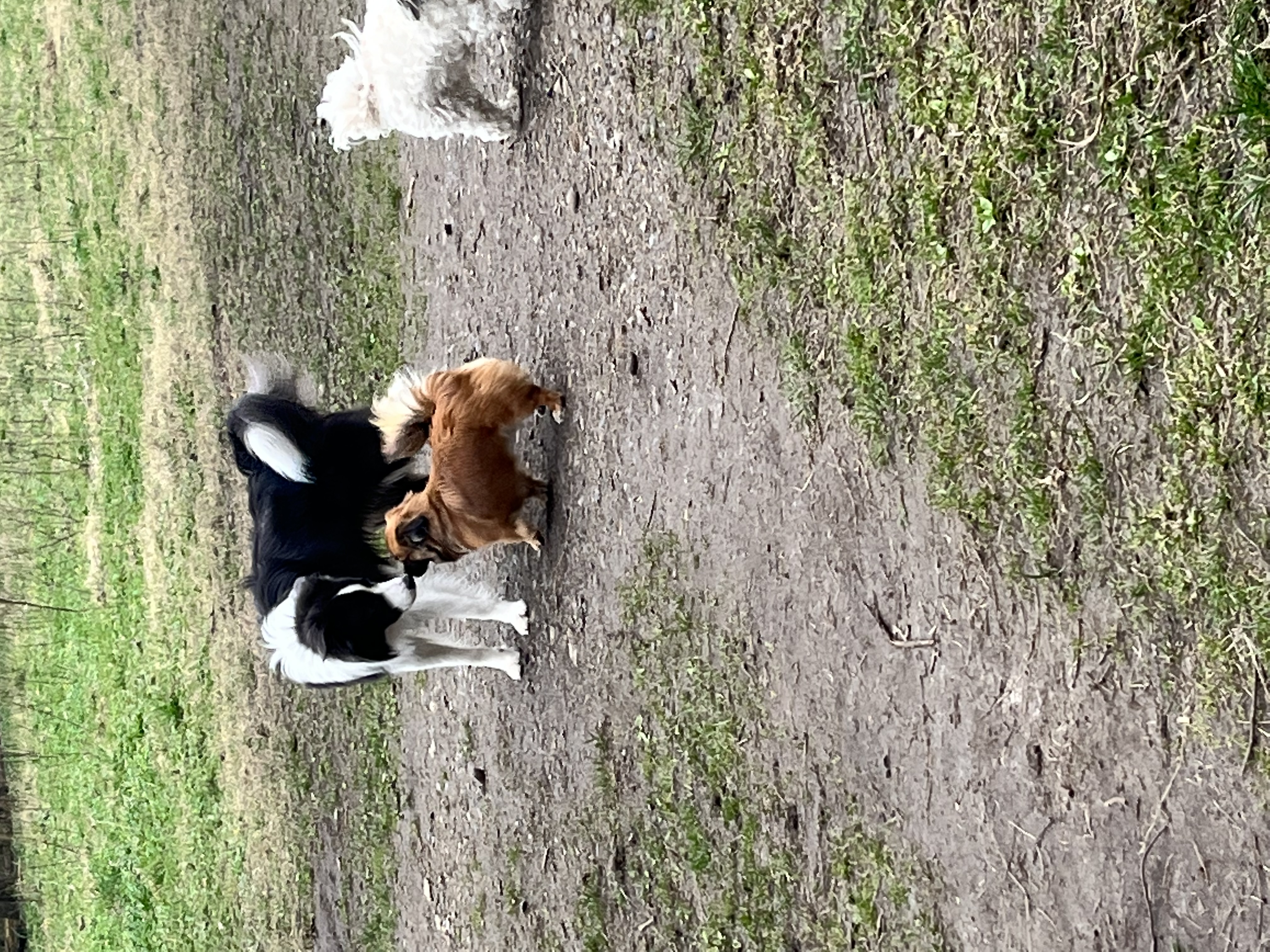 image-3