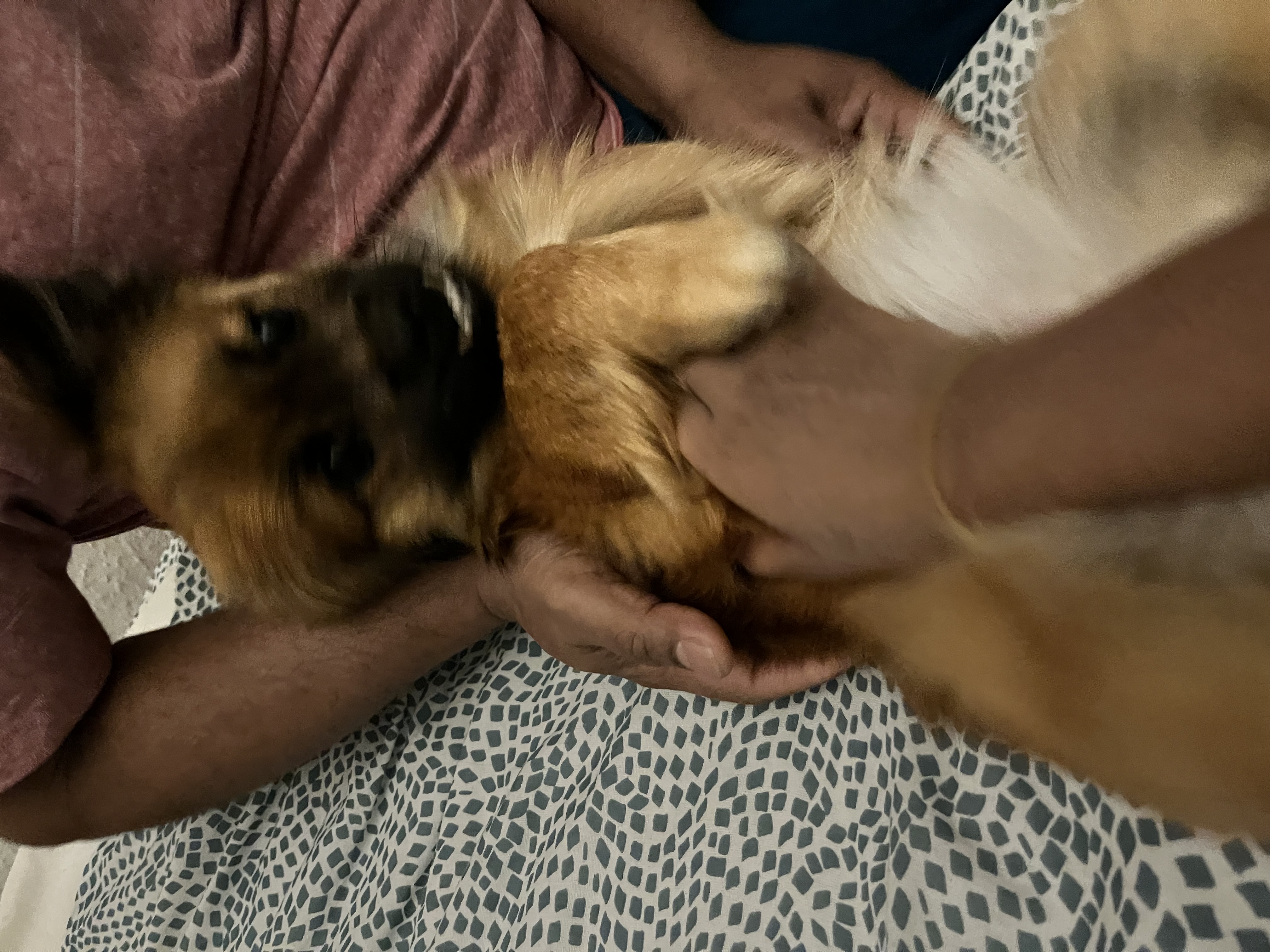 image-4