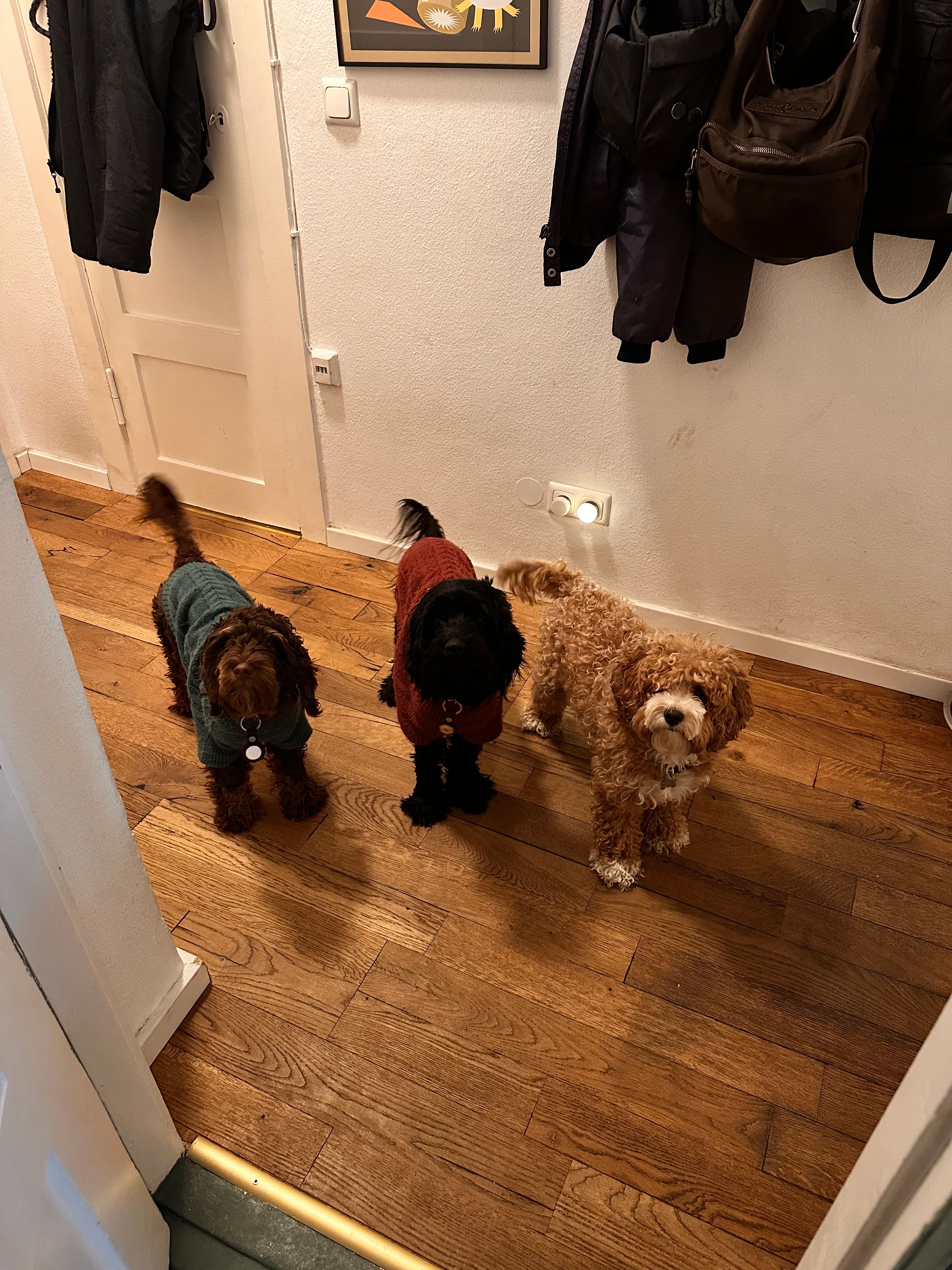 image-14
