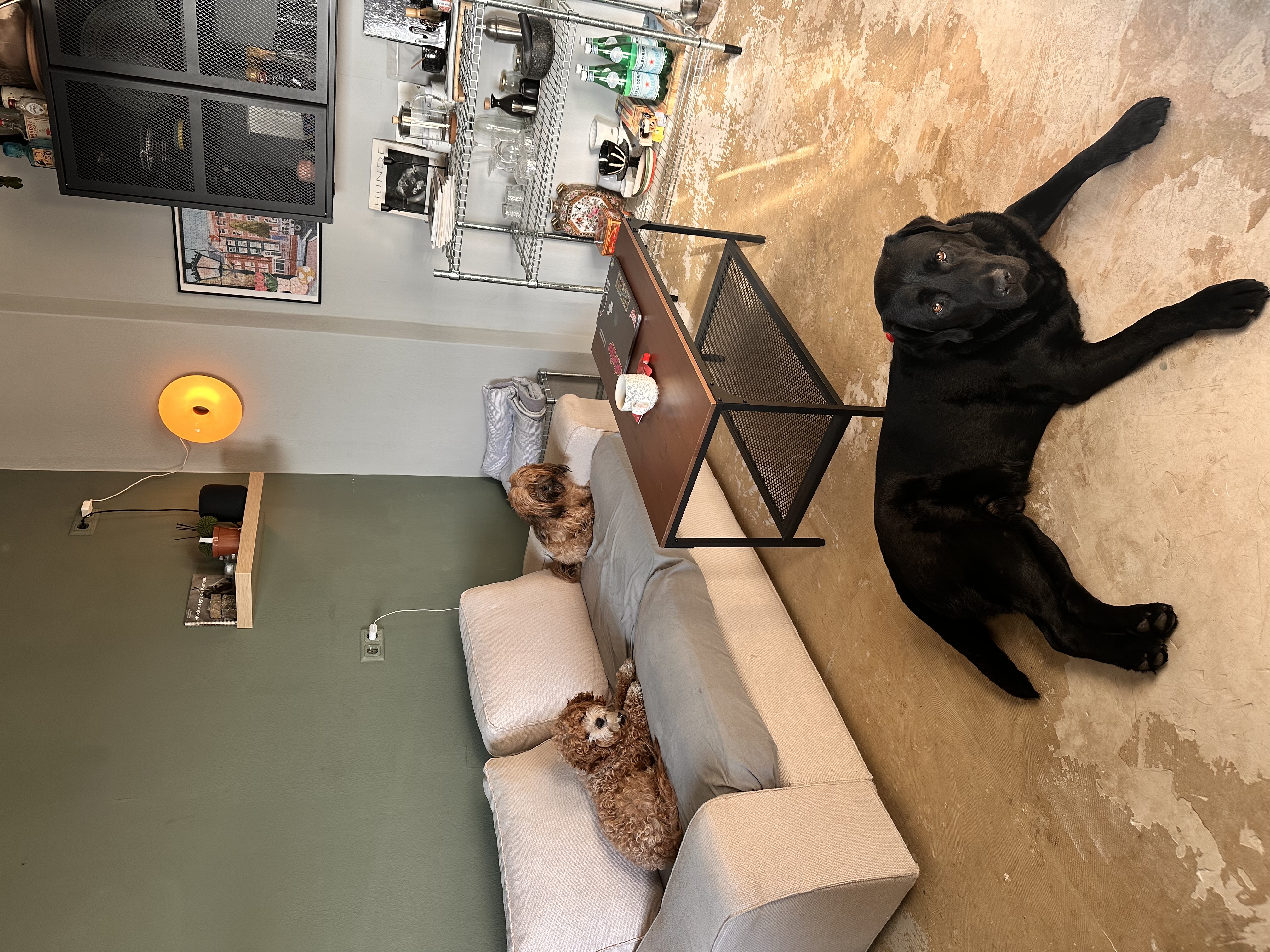 image-12