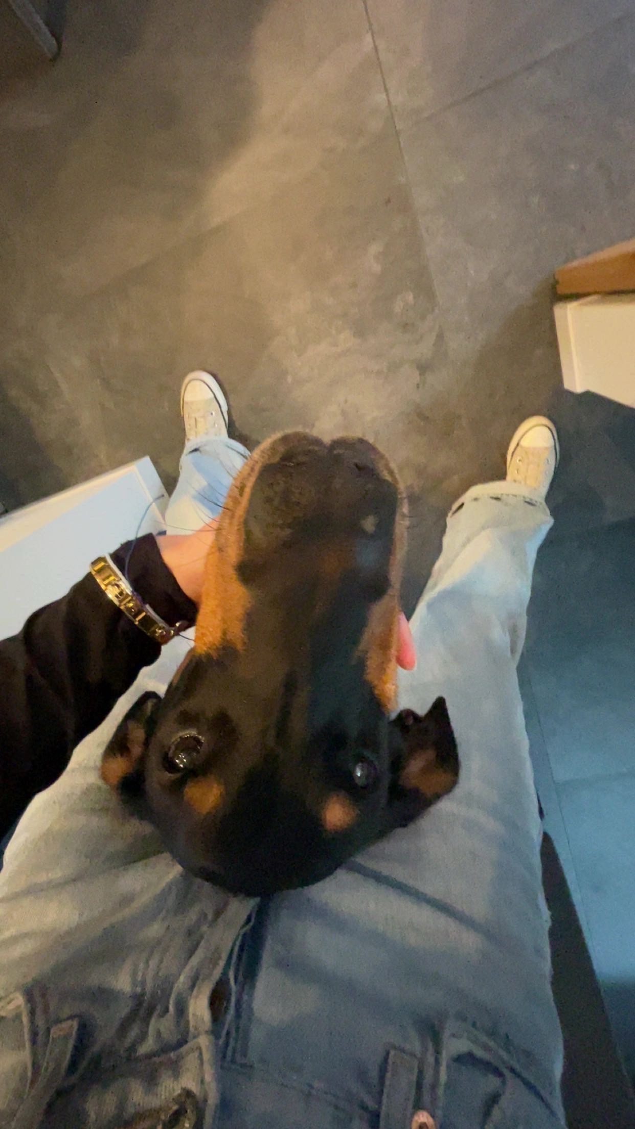 image-8