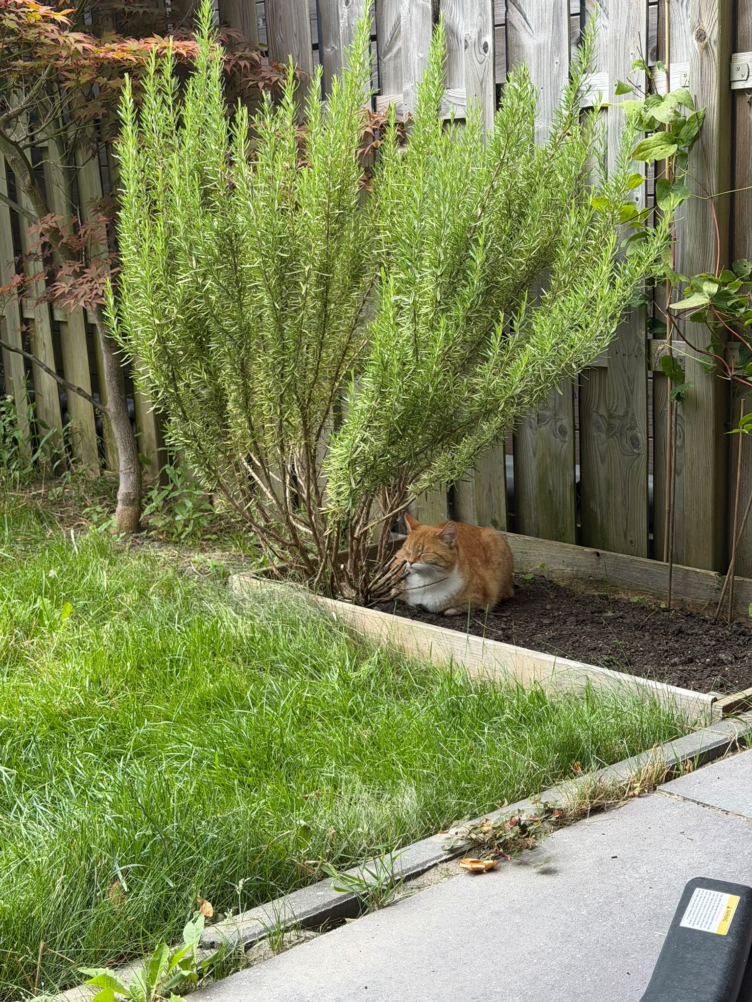 image-15
