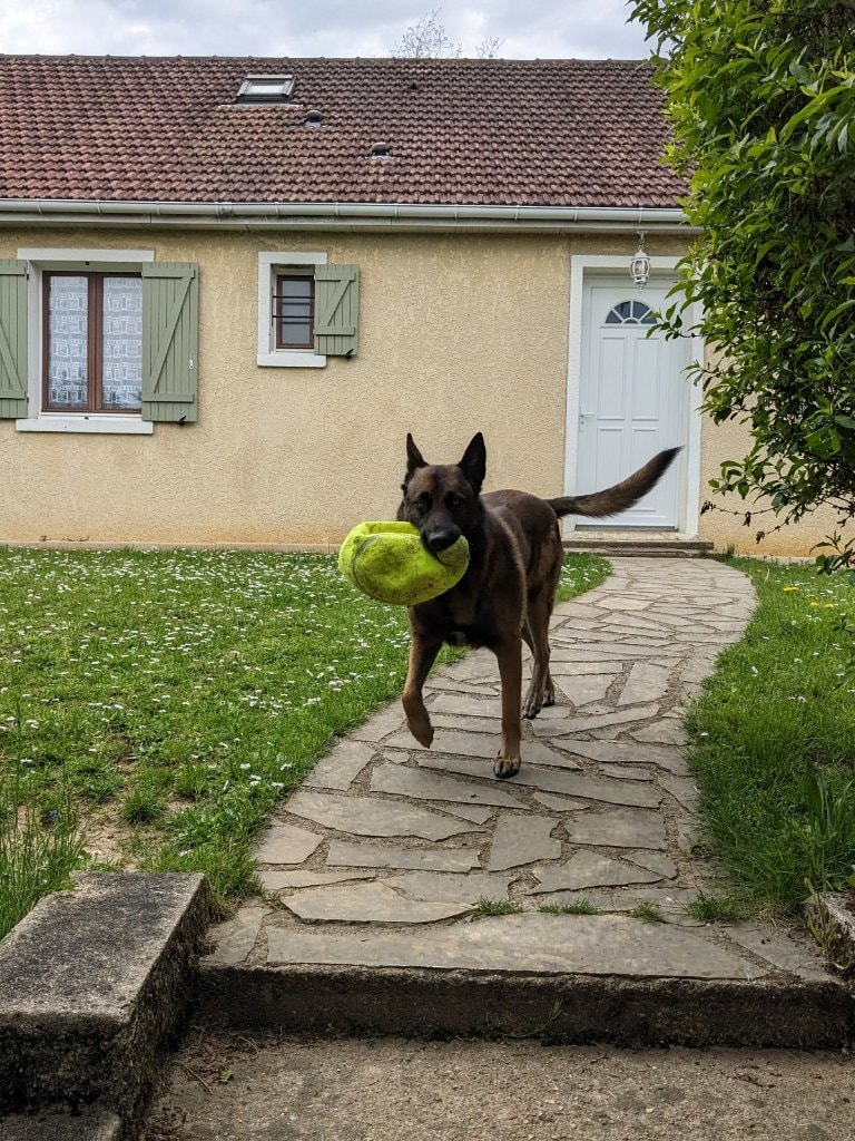 image-5