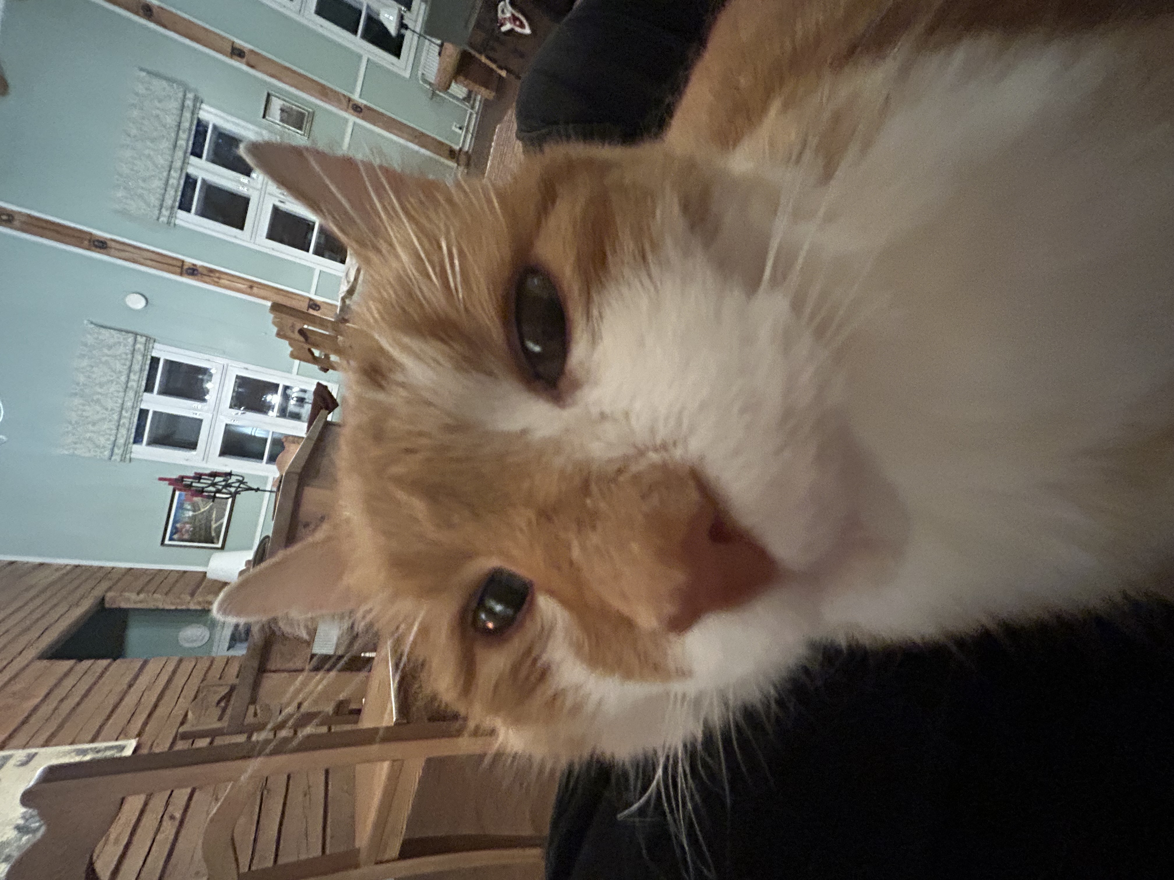 image-8
