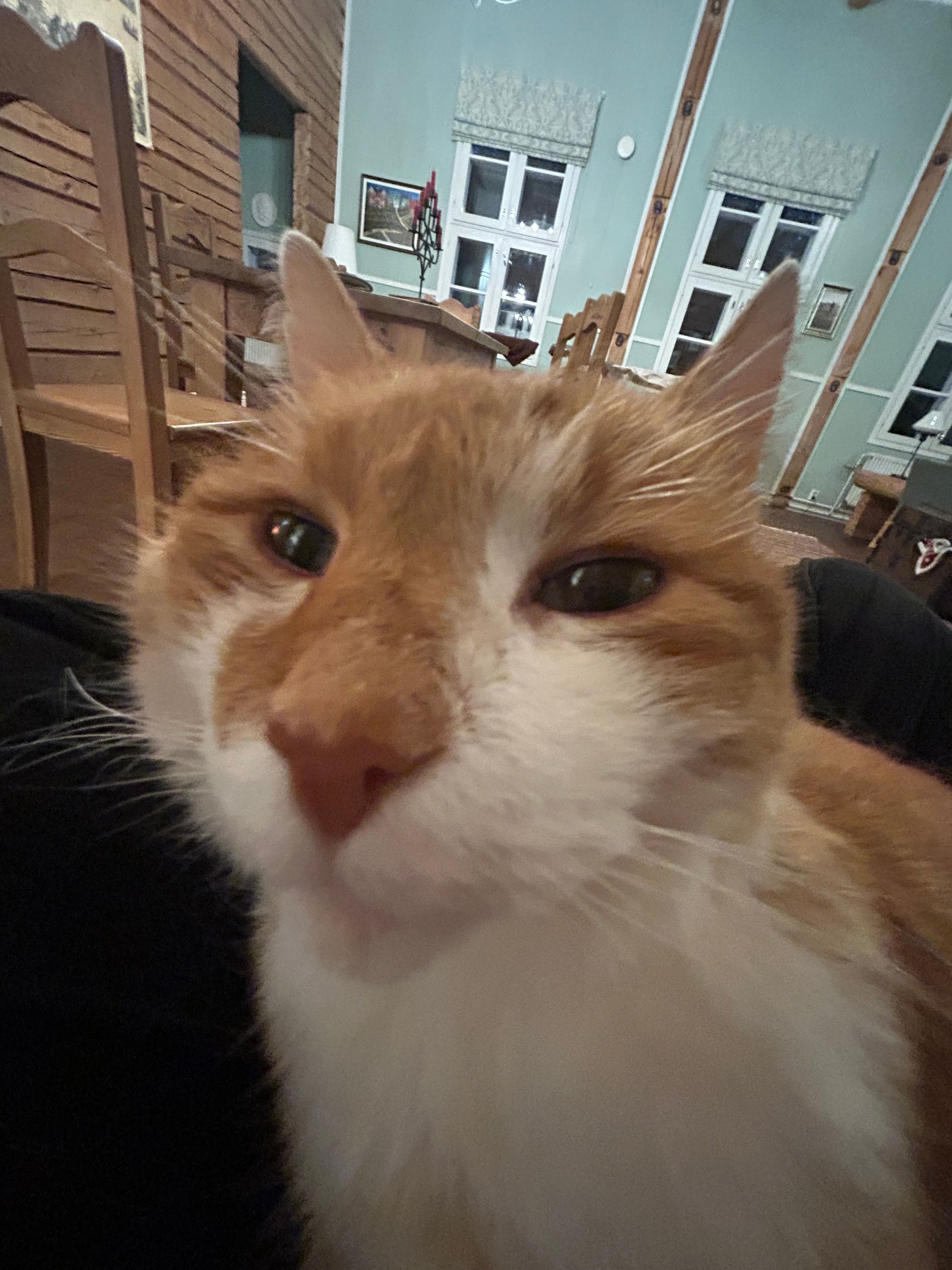 image-8