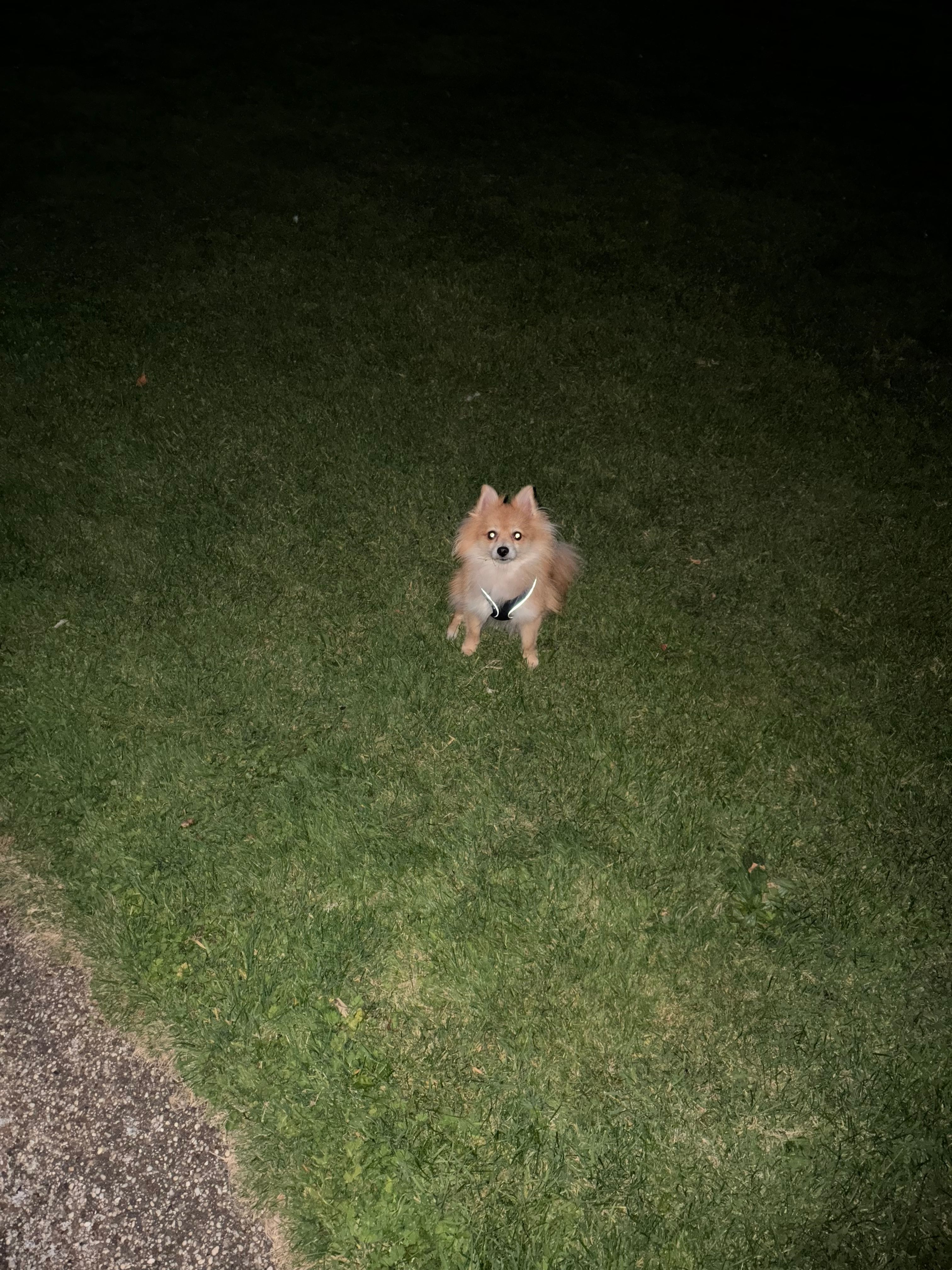 image-8
